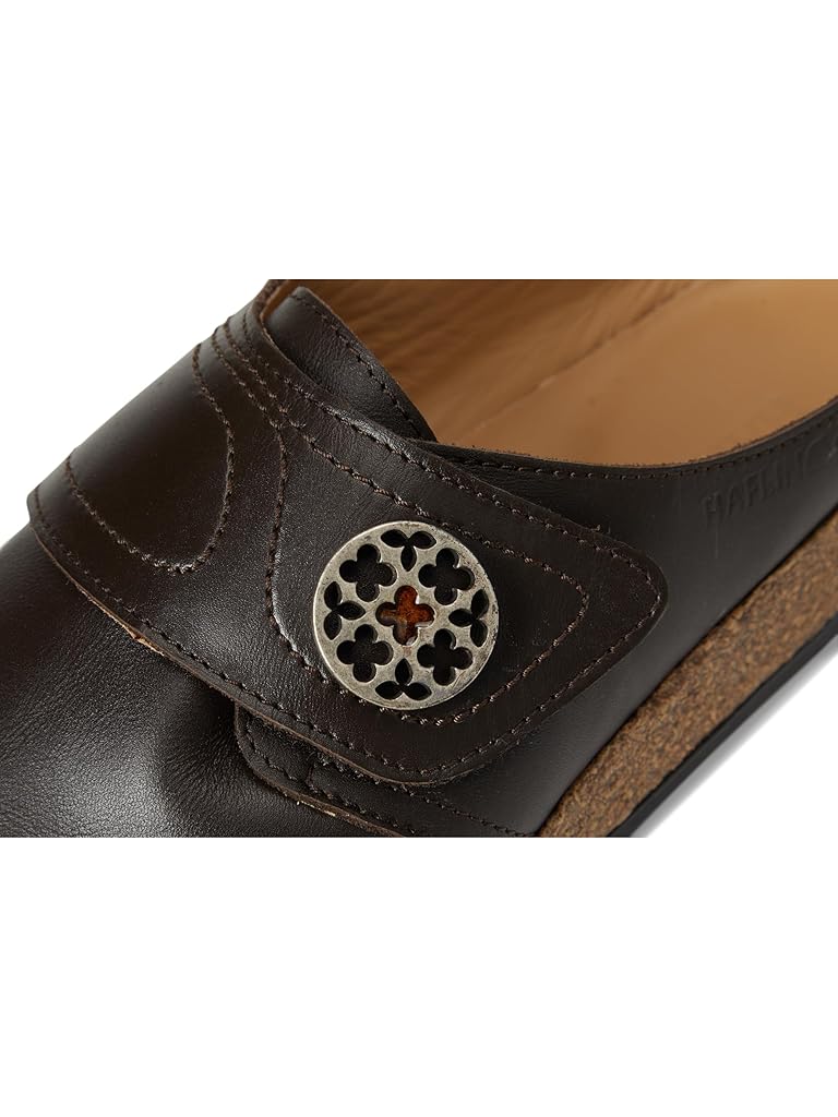 Brown Haflinger Carly