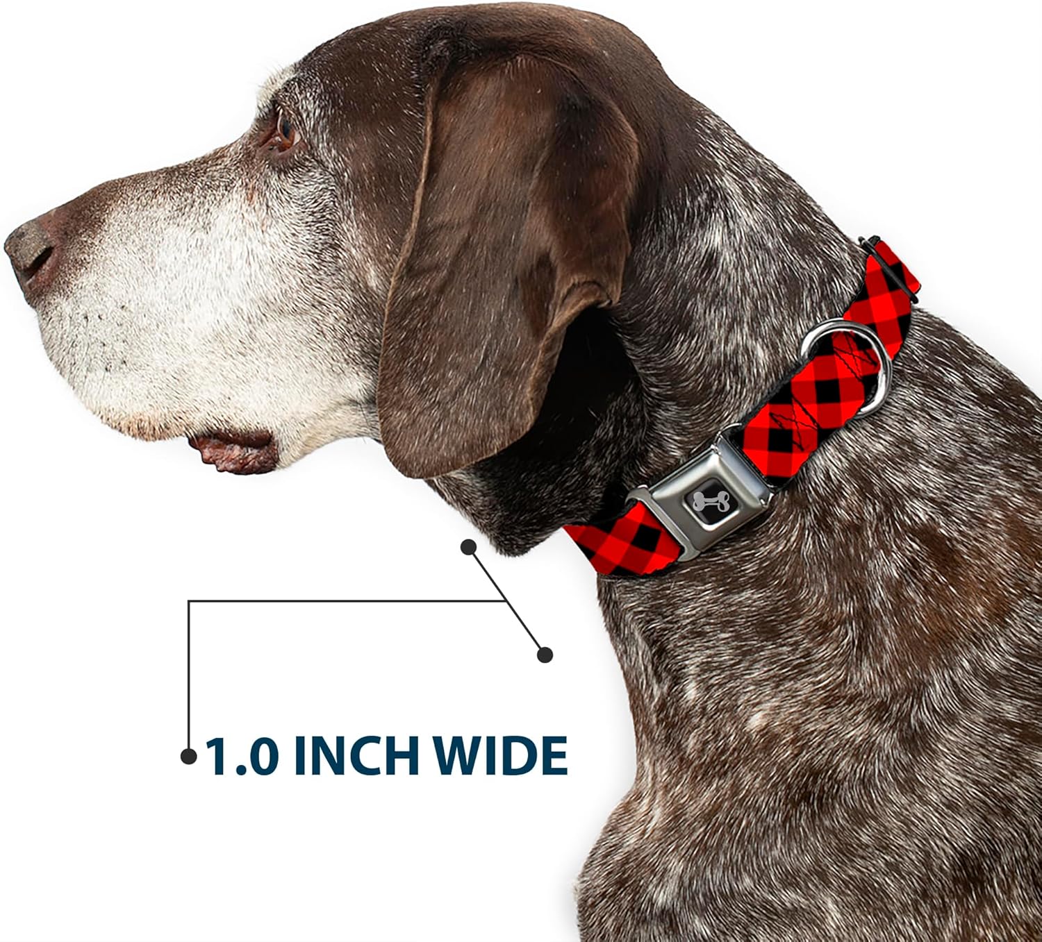 Buckle-Down Seatbelt Buckle Dog Collar - Diagonal Buffalo Plaid Black/Red - 1" Wide - Fits 9-15" Neck - Small