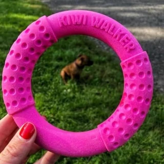 Foto 3 de 3 de KIWI WALKER Let's Play! Mini anillo de juguete para perros - Espuma TPR, suave para dientes y encías
