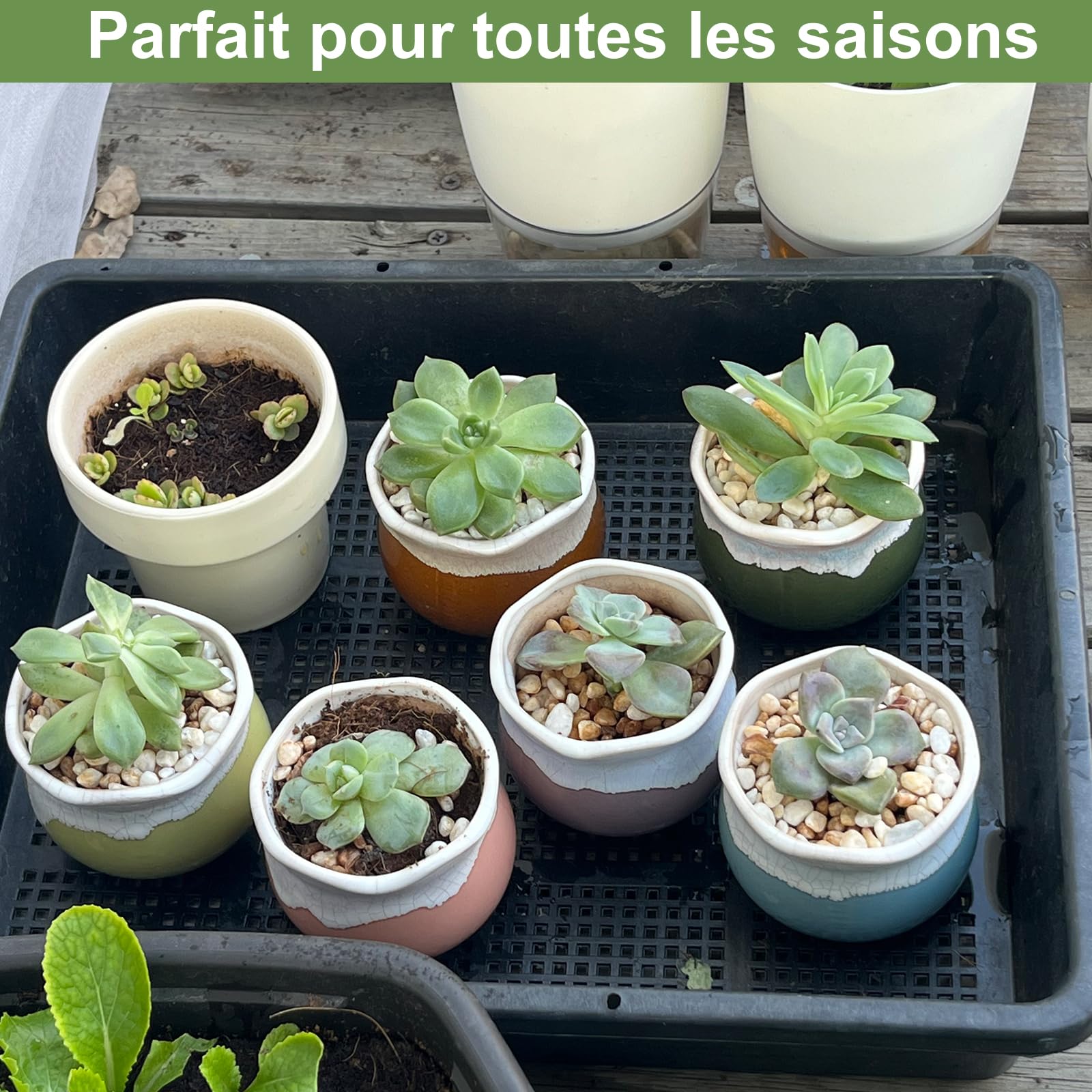 BeGrit Plateau de Semences Lot 10 Plateaux Semis Potager 37x30 cm Bac à Semis de Jardin pour Graines à Germer Micro-pousses & Germination Plateaux de Culture Rectangulaires Légume pour Fruit Plantes