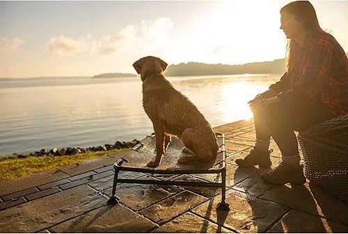 Miniatura 9 de Momarsh Home Cot Breeze Cama elevada para mascotas  Patas antideslizantes con malla transpirable  Cuna portátil para perro  Reducción de puntos