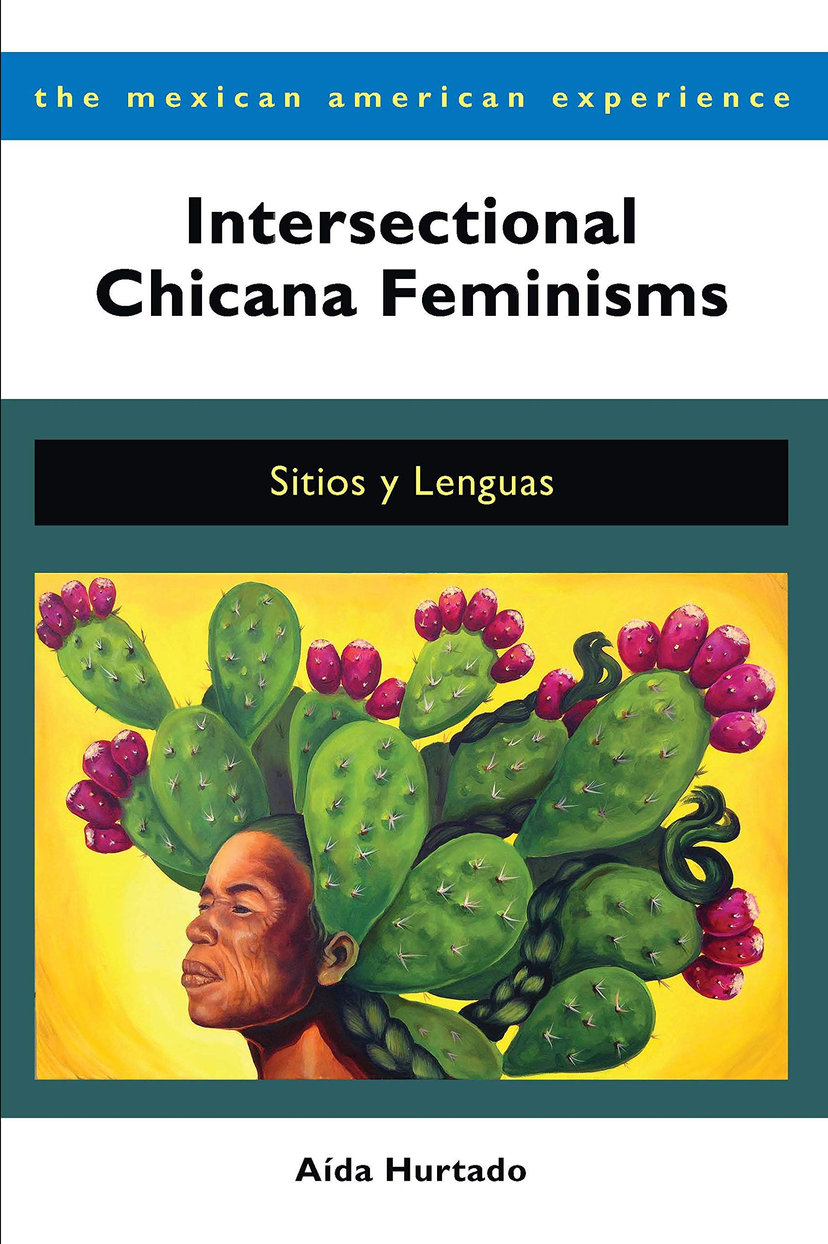 Intersectional Chicana Feminisms: Sitios y Lenguas (The Mexican American Experience)