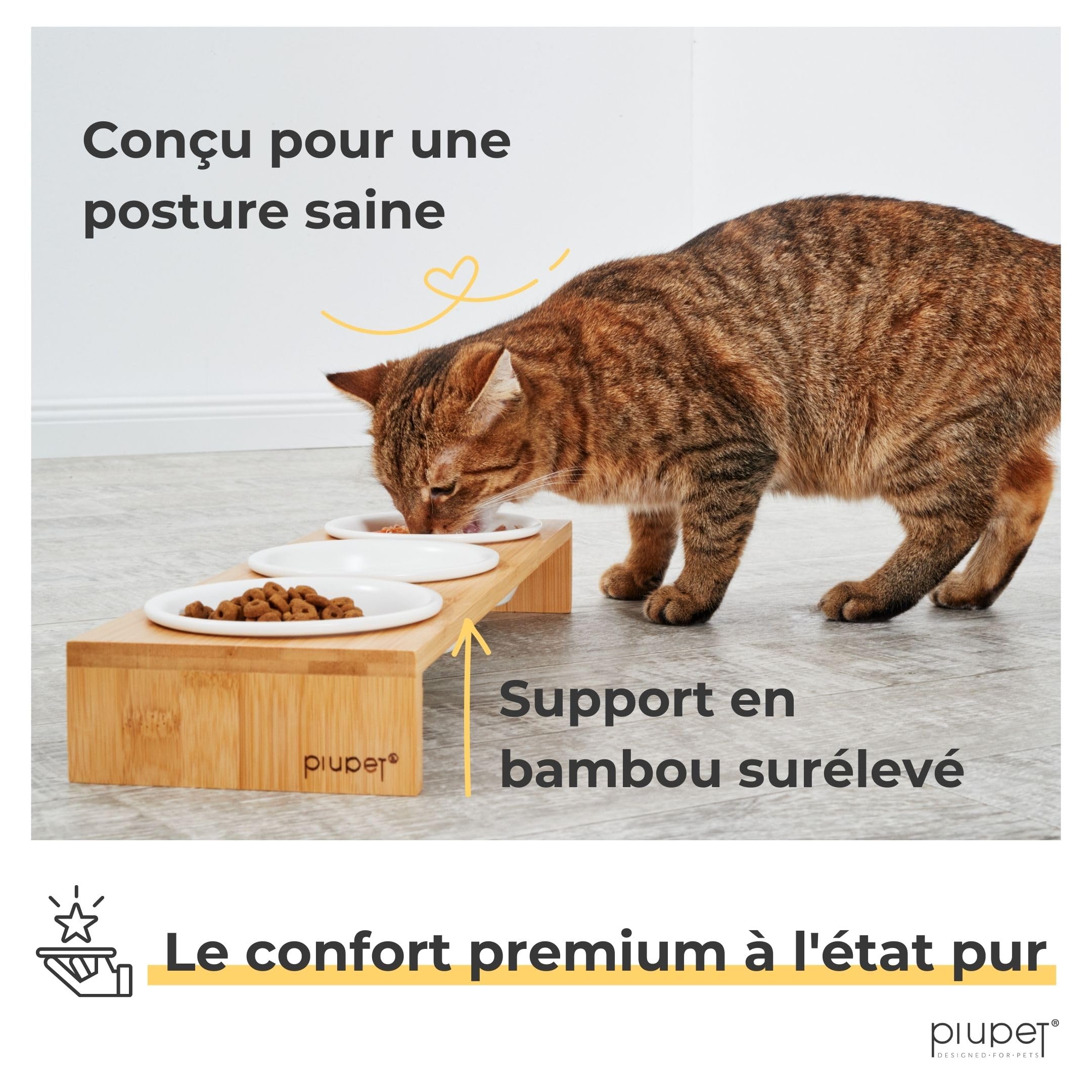 PiuPet® 3er Gamelle Chat I 250ml I Passe au Lave-Vaisselle I Gamelle Chat surélevée I Mangeoirs et abreuvoirs pour Chats et Petits Chiens I Support avec 3 Écuelles