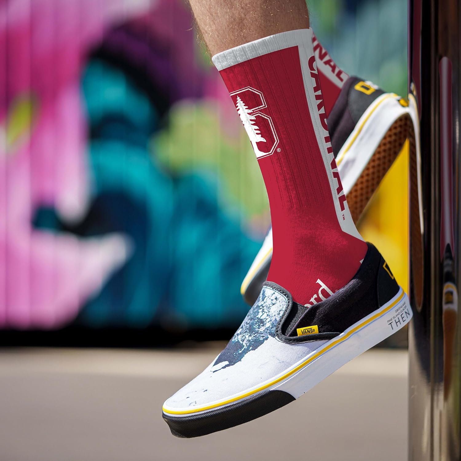 For Bare Feet - NCAA Cruisin No Show Ankle Socks - Image 3