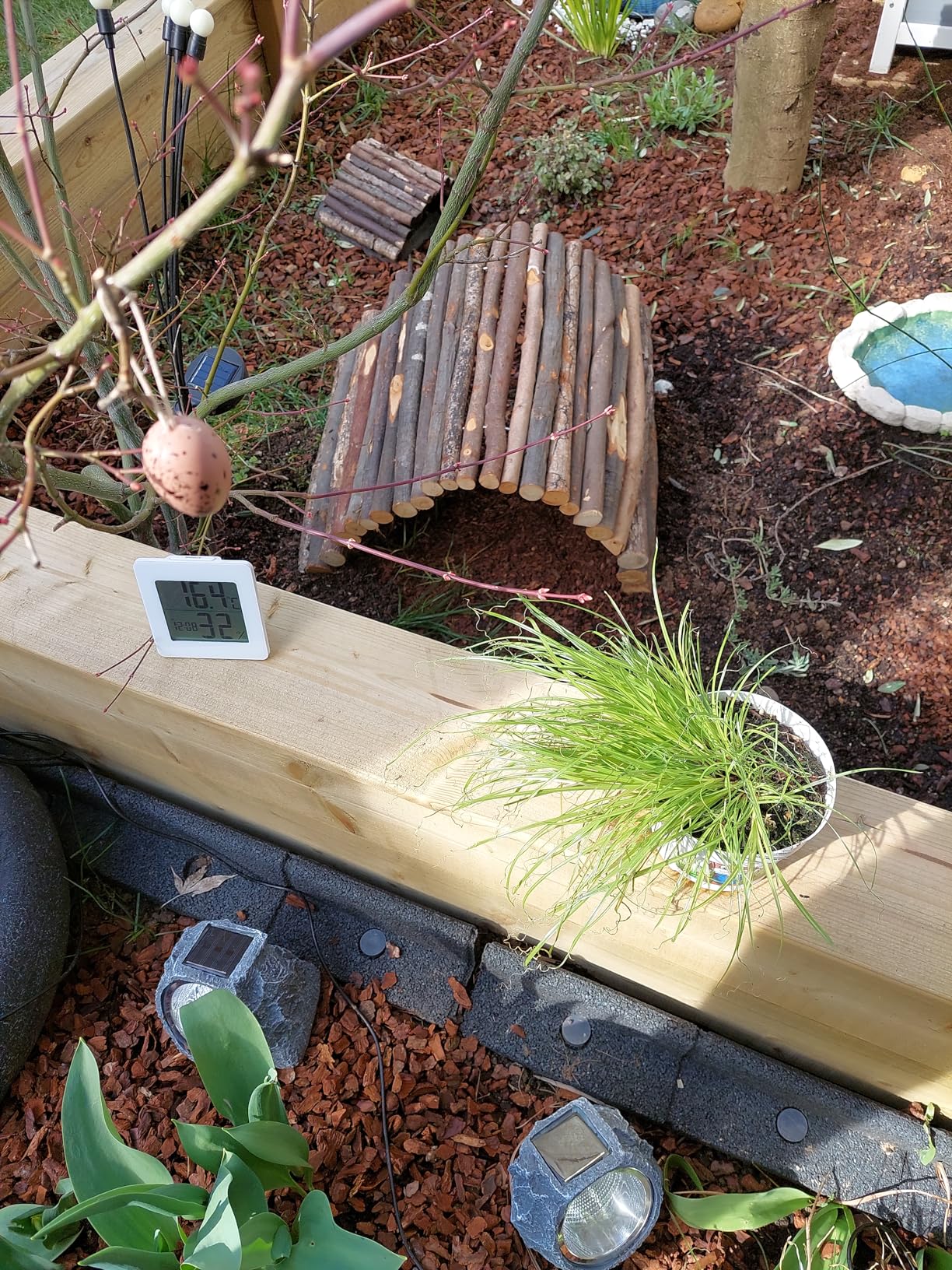 Hamiledyi Holz-Versteck Für Hamster & Mäuse – Natürliche Kiefernholz-Hütte Zum Spielen & Ausruhen