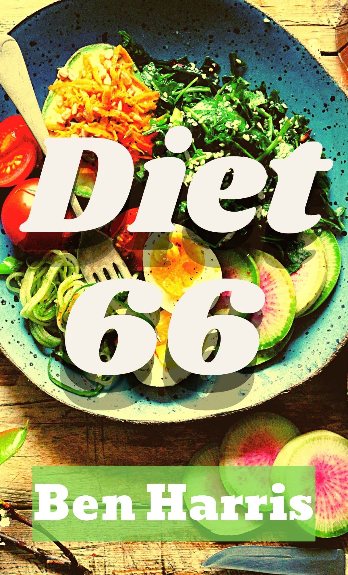 Diet 66