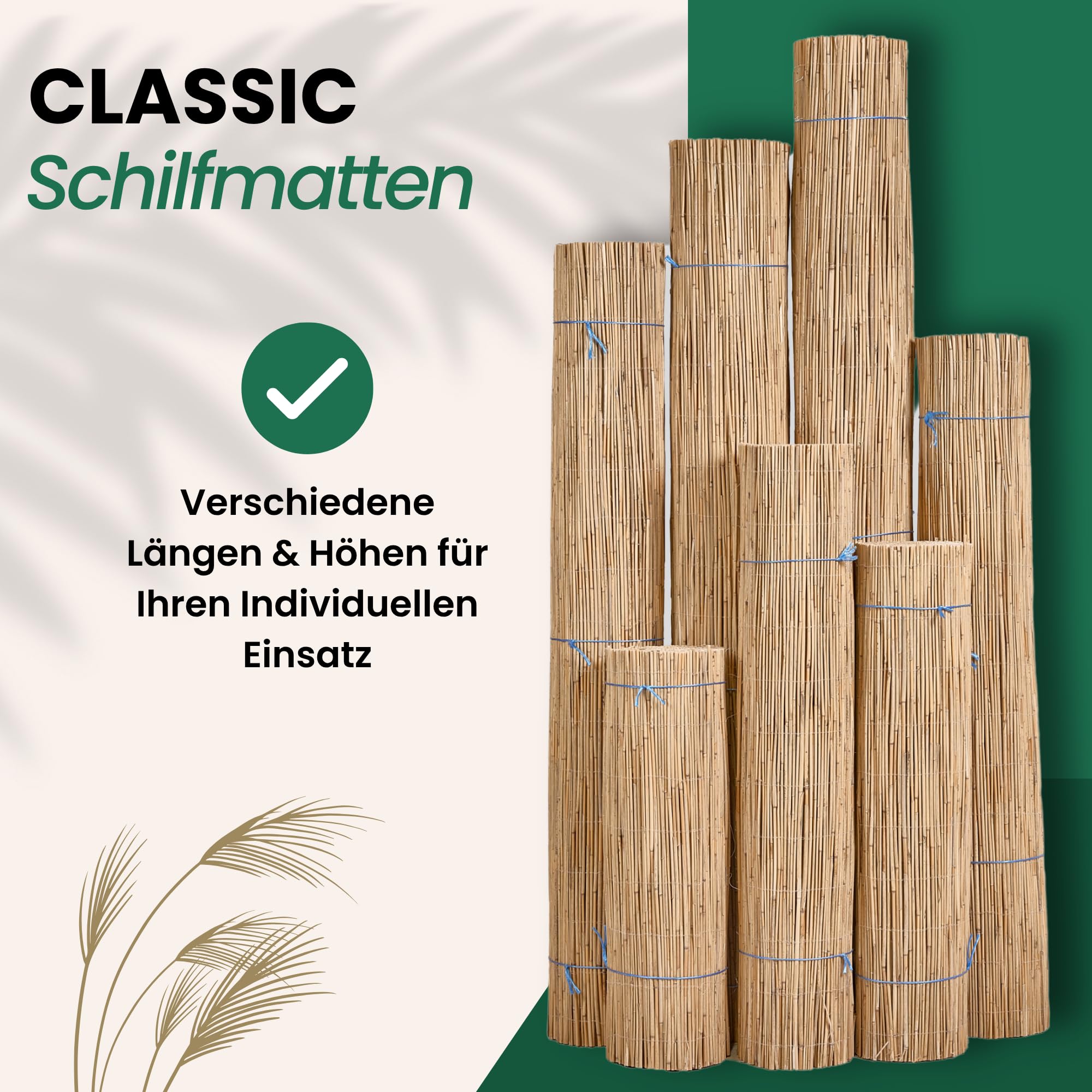 Schilf Sichtschutz | Schilfrohrmatte Classic | 120 x 600 cm | Natur Schilfmatte | Sichtschutzmatte & Windschutz für Balkon, Terrasse, Zaun & Garten | Für Indoor & Outdoor