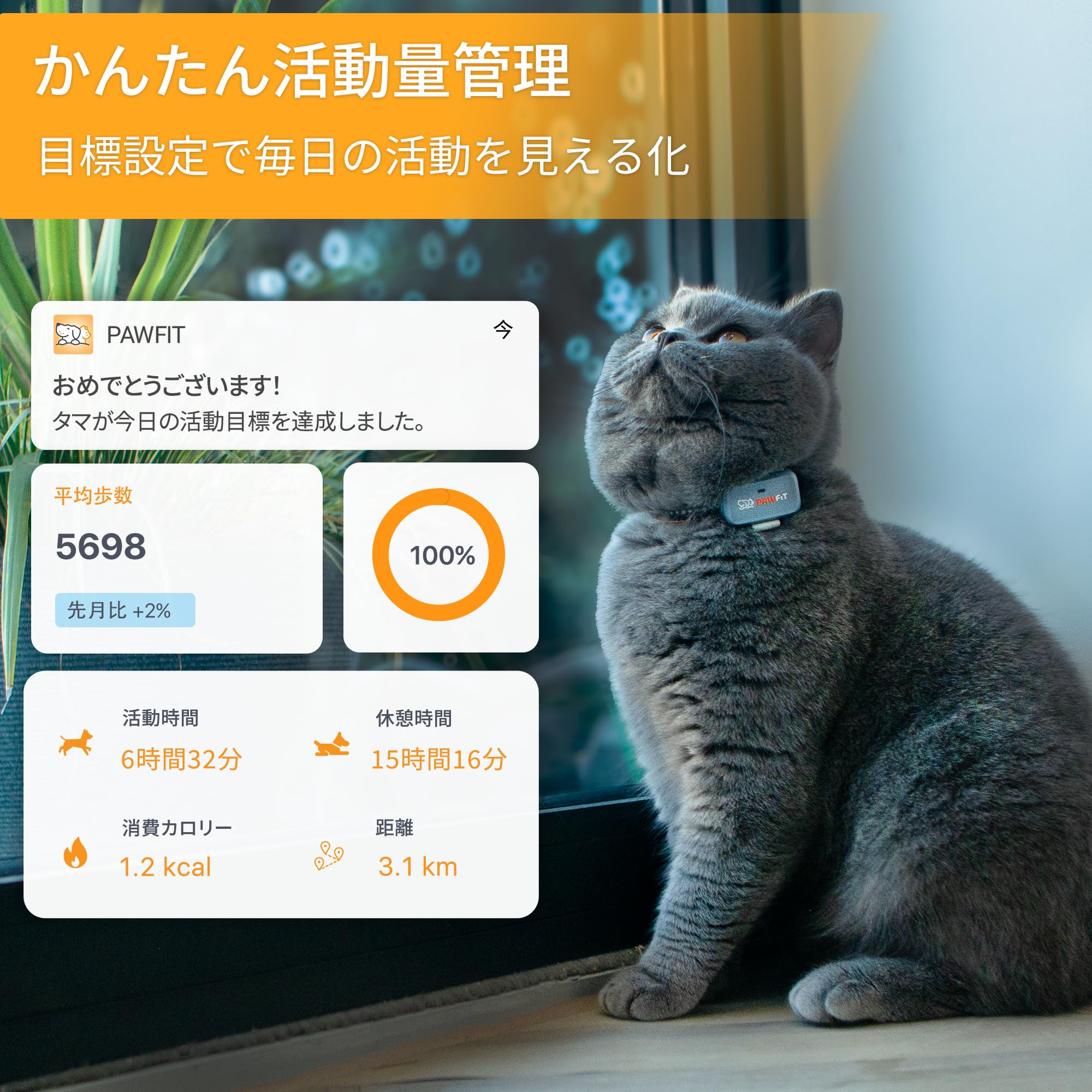 Amazon.co.jp: Pawfit Lite 4G GPS猫用トラッカー リアルタイム追跡 超 Amazon.co.jp: Pawfit Lite 4G GPS猫用トラッカー リアルタイム追跡 超