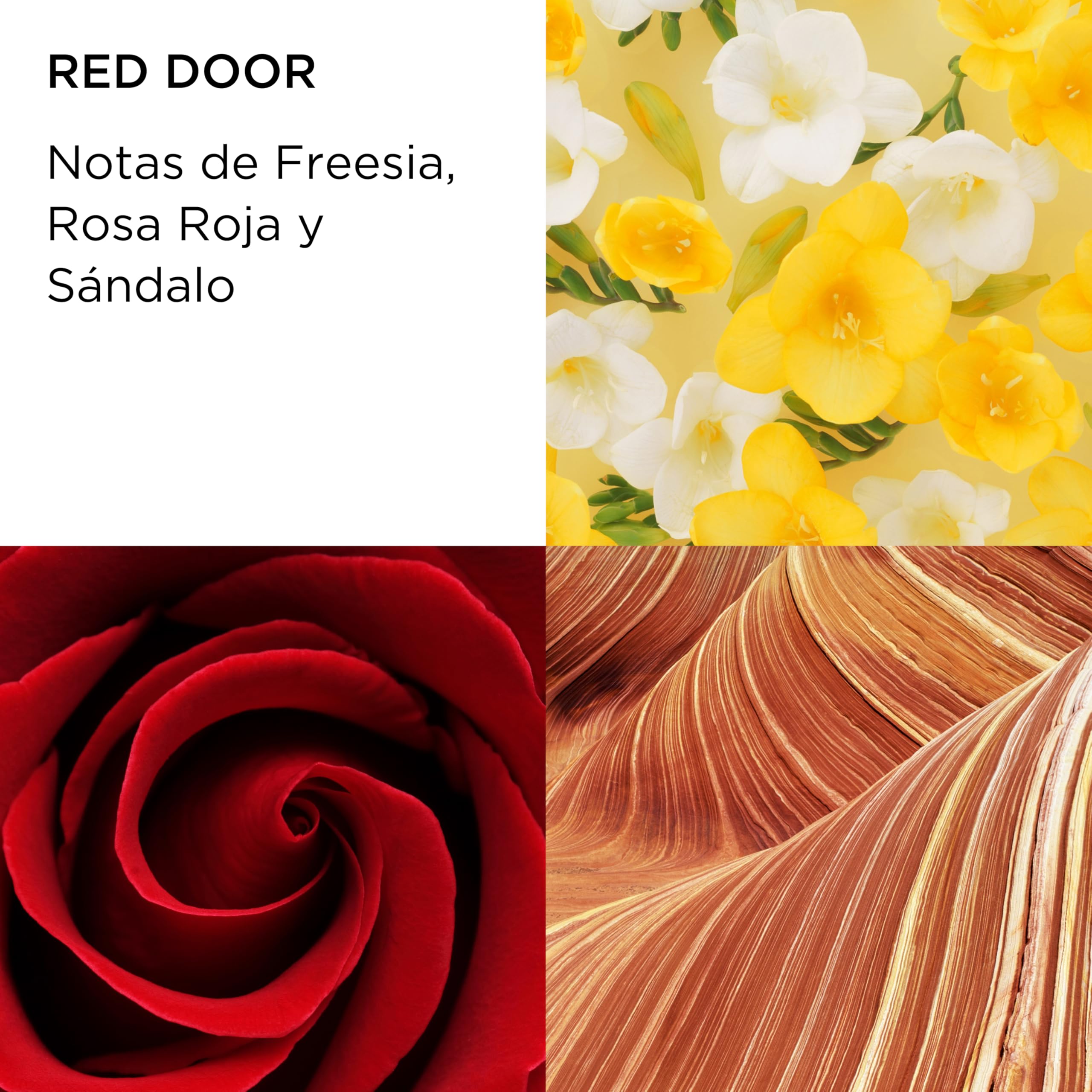 Elizabeth Arden - Red Door, Eau de Toilette, con Lirios del Valle y Rosa Roja, Aroma Floral Intenso, Mezcla de Notas Sensuales, Perfume Femenino y Elegante, Mujer