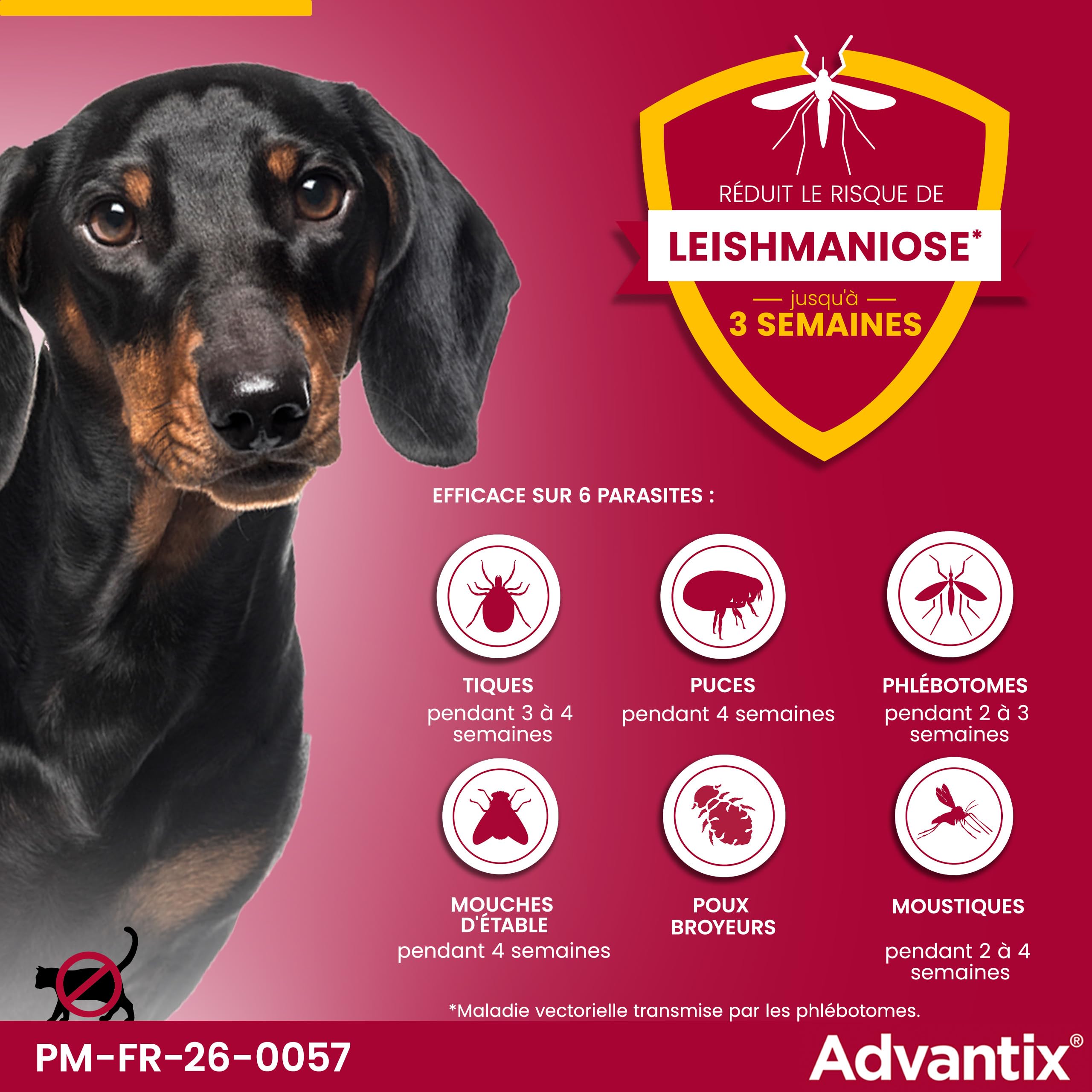 Advantix Très Petit Chien entre 1,5 et 4 kg – Pipettes pour chien contre 6 parasites – Traitement en pipette pour une protection en continu pendant 4 semaines – 6 x 0,4 ml