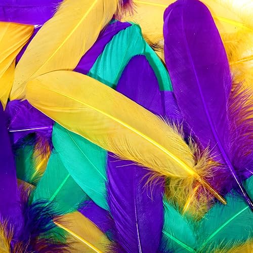 Miniatura 3 de THARAHT 120 plumas de ganso naturales a granel de 6-8 pulgadas 5.9-7.9 in para manualidades, bricolaje, cosplay, Halloween, Mardi Gras, decoración