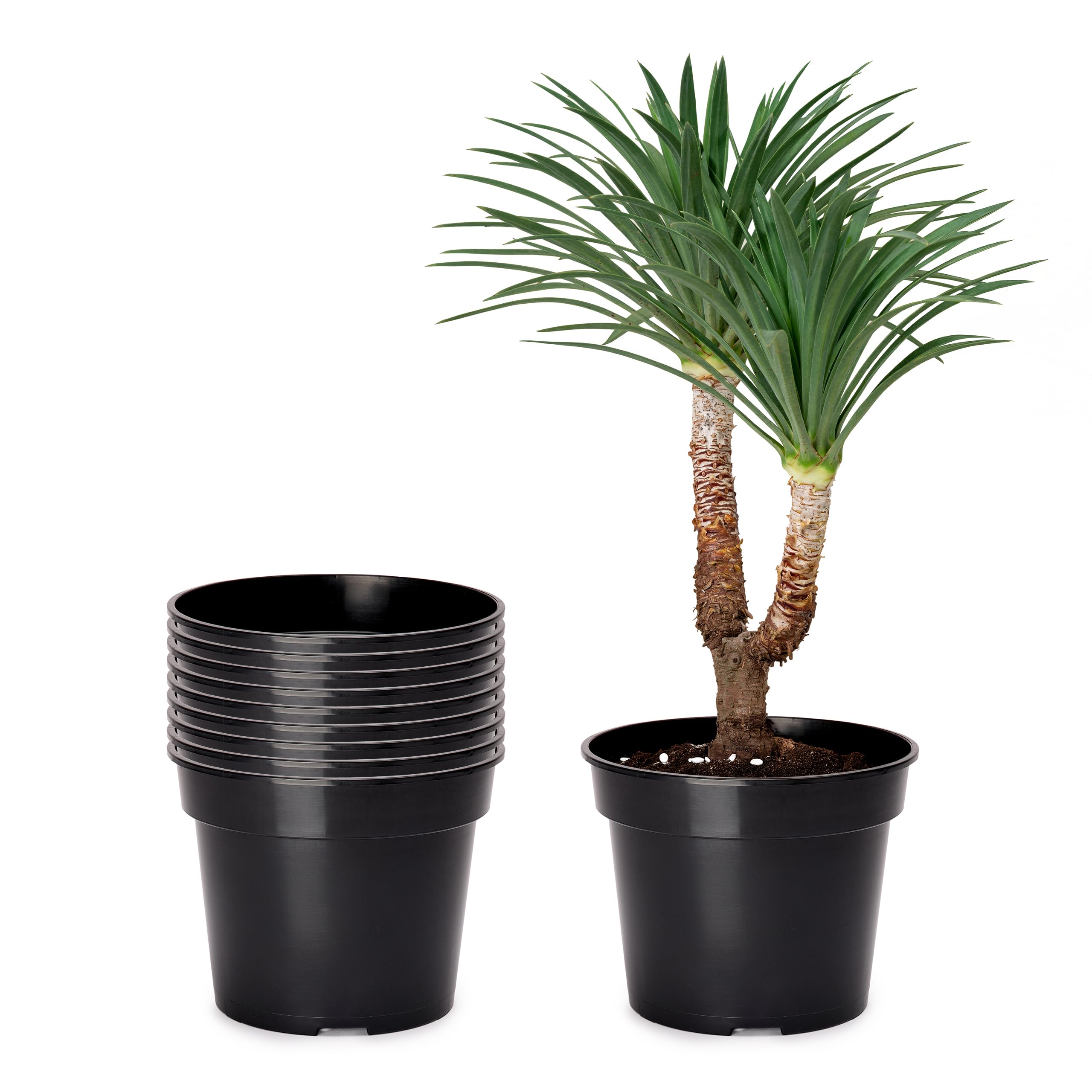 Garronda Vasi per Piante Rotondi in Plastica da Esterno e da Interno per Fiori e Giardini GD-0025 (10 Pezzi - Nero, ⌀ 39 cm H 28,5 cm)