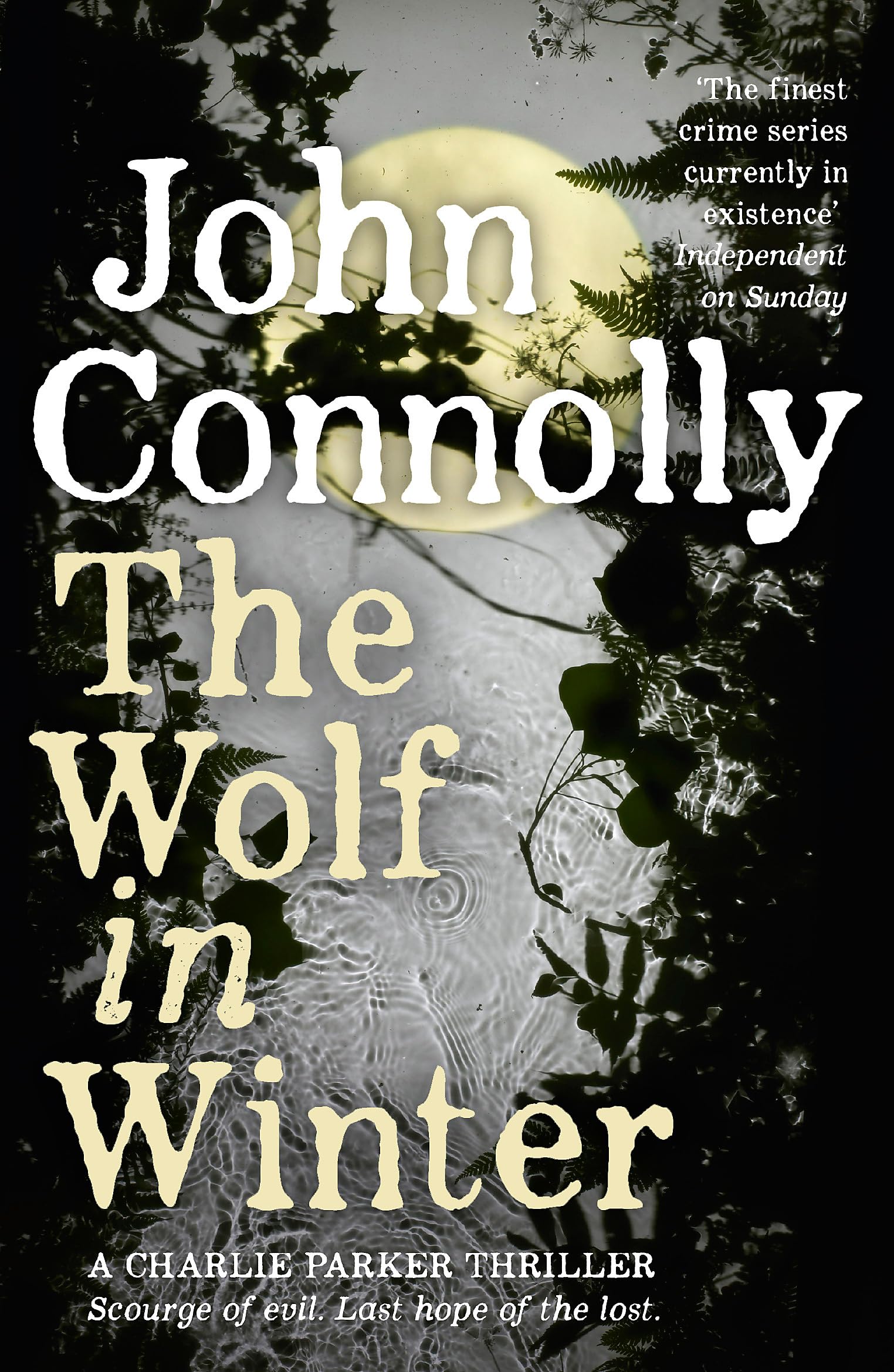 The Wolf in Winter : Private Investigator Charlie Parker hunts evil in the twelfth book in the globally bestselling series