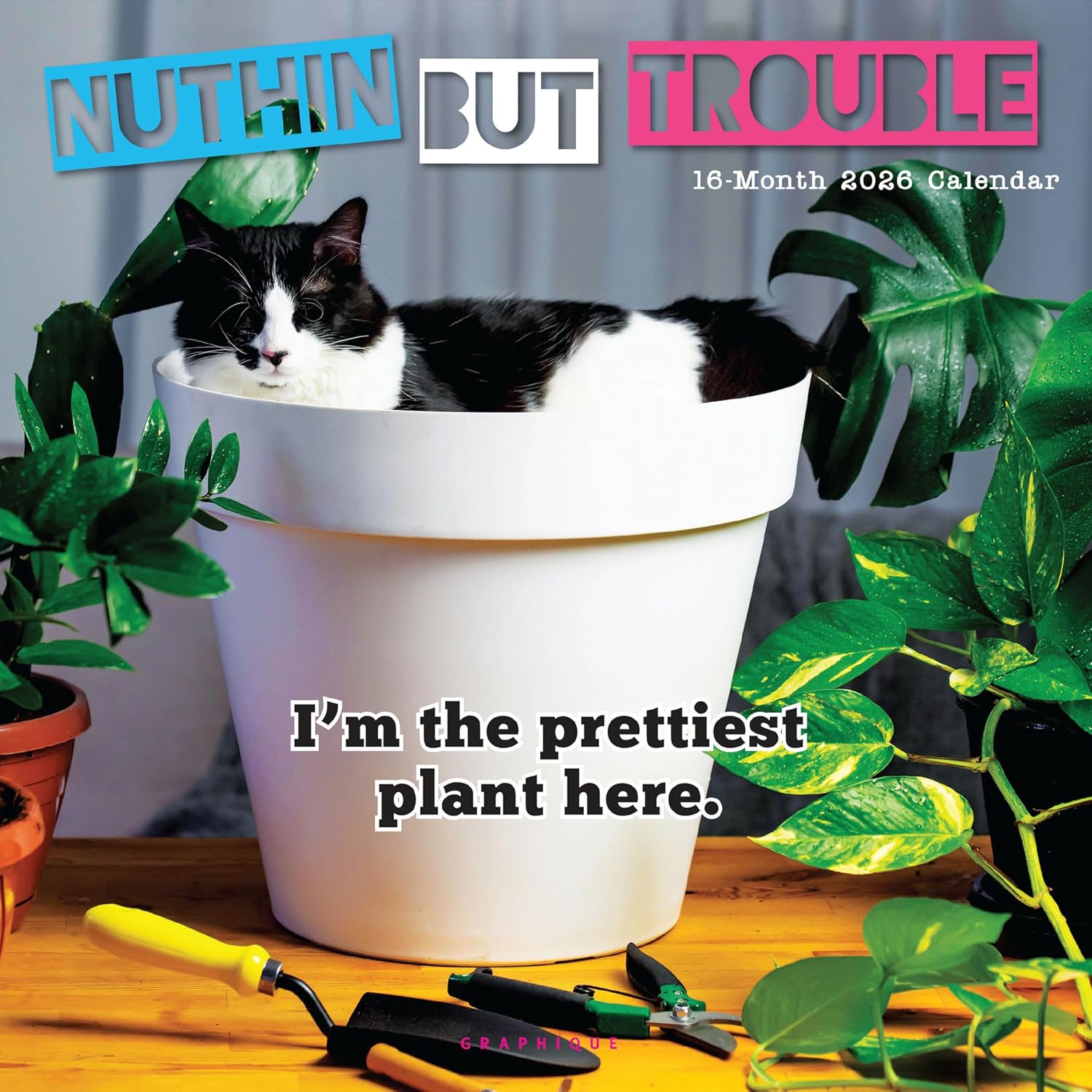 Graphique 2026 Nuthin' But Trouble Wall Calendar | 12” x 12” | Thick Paper | Home & Office Organizer | Large Monthly Grid | 3 Languages & Marked Holidays | 4 Month Preview Page for 2027