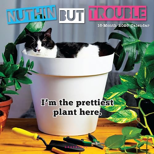 Graphique 2026 Nuthin' But Trouble Wall Calendar | 12” x