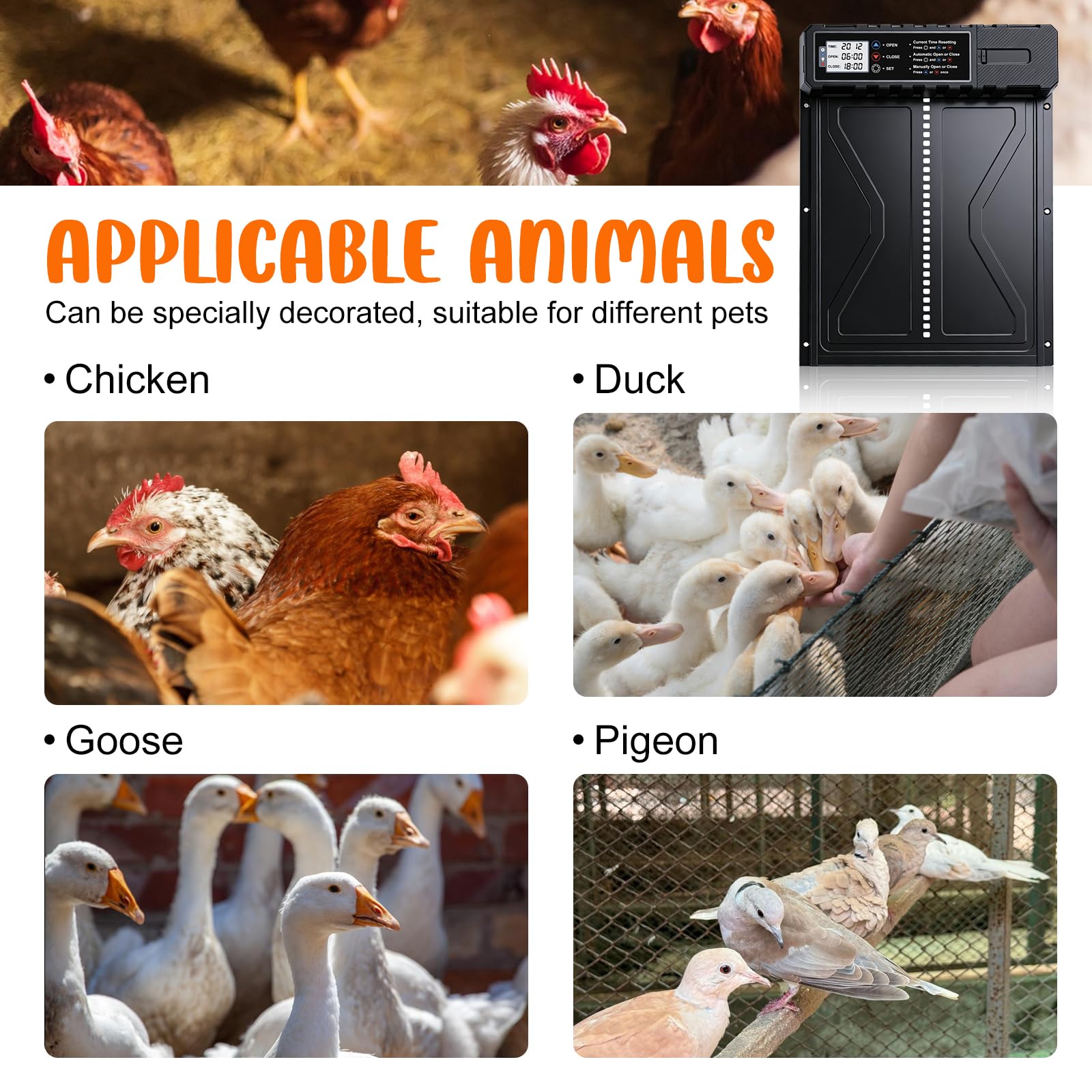 Batería automática de gallina, tamaño de aluminio puerta eléctrica de pollo con pantalla+temporizador+protección inteligente contra pellizcos Modo manual, funciona con pilas (pilas no incluidas)