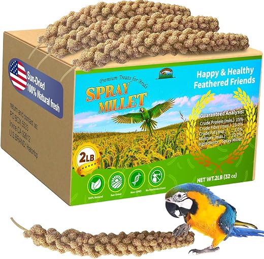 Bird Treats