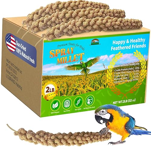 2LB Millet Spray for Birds Parakeets Treats - All Natural