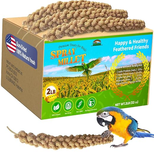 2LB Millet Spray for Birds Parakeets Treats - All Natural Sun-Dried Spray Millet for Parakeets, Cockatiel, Budgie, Finches, Parrots, Hamster, 100% Non GMO Dried Fresh Bird Seed