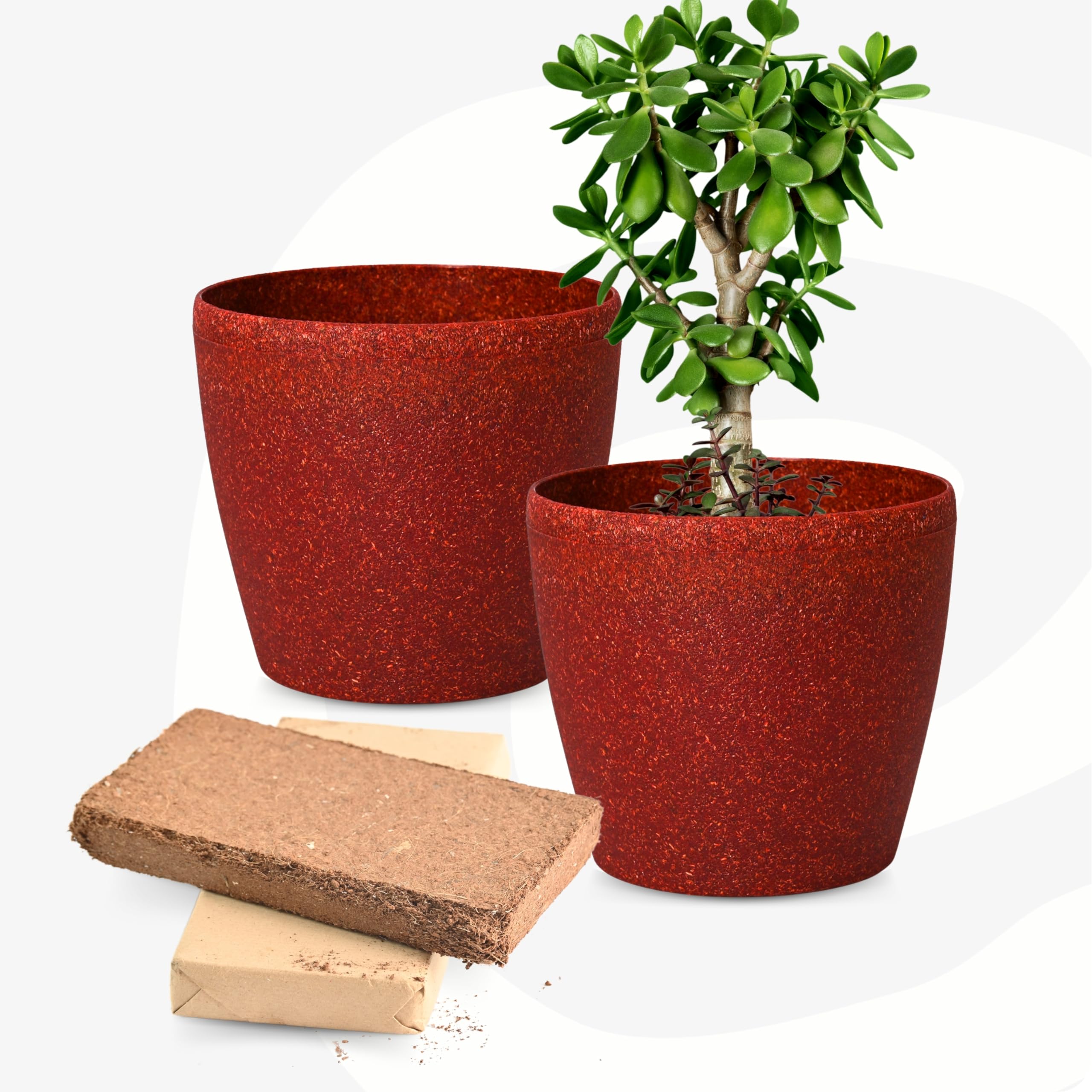 Eha Set of 2 Earth-Friendly Deco 7" Self-Watering pots and Planters with Cocopeat (400gm x2) | Bamboo Based | UV Protected | for Indoor, Home Decor, Outdoor, Balcony & Garden | Coral (B0CQVLHF38) Amazon Price History, Amazon Price Tracker