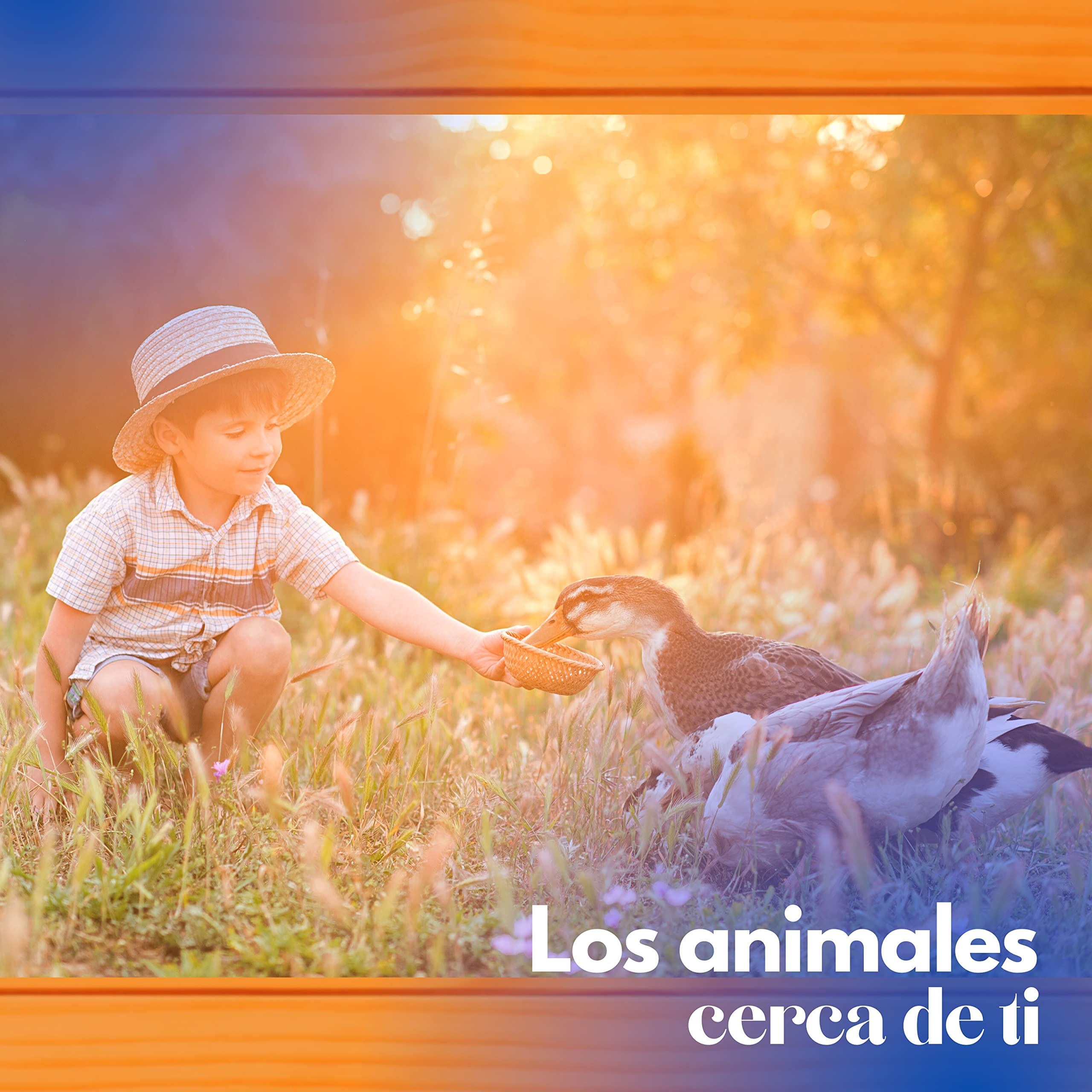 Caseta para Patos - Nido Pequeño para Patos - Refugio de Exterior Fabricado en Madera tratada, Muy Estético