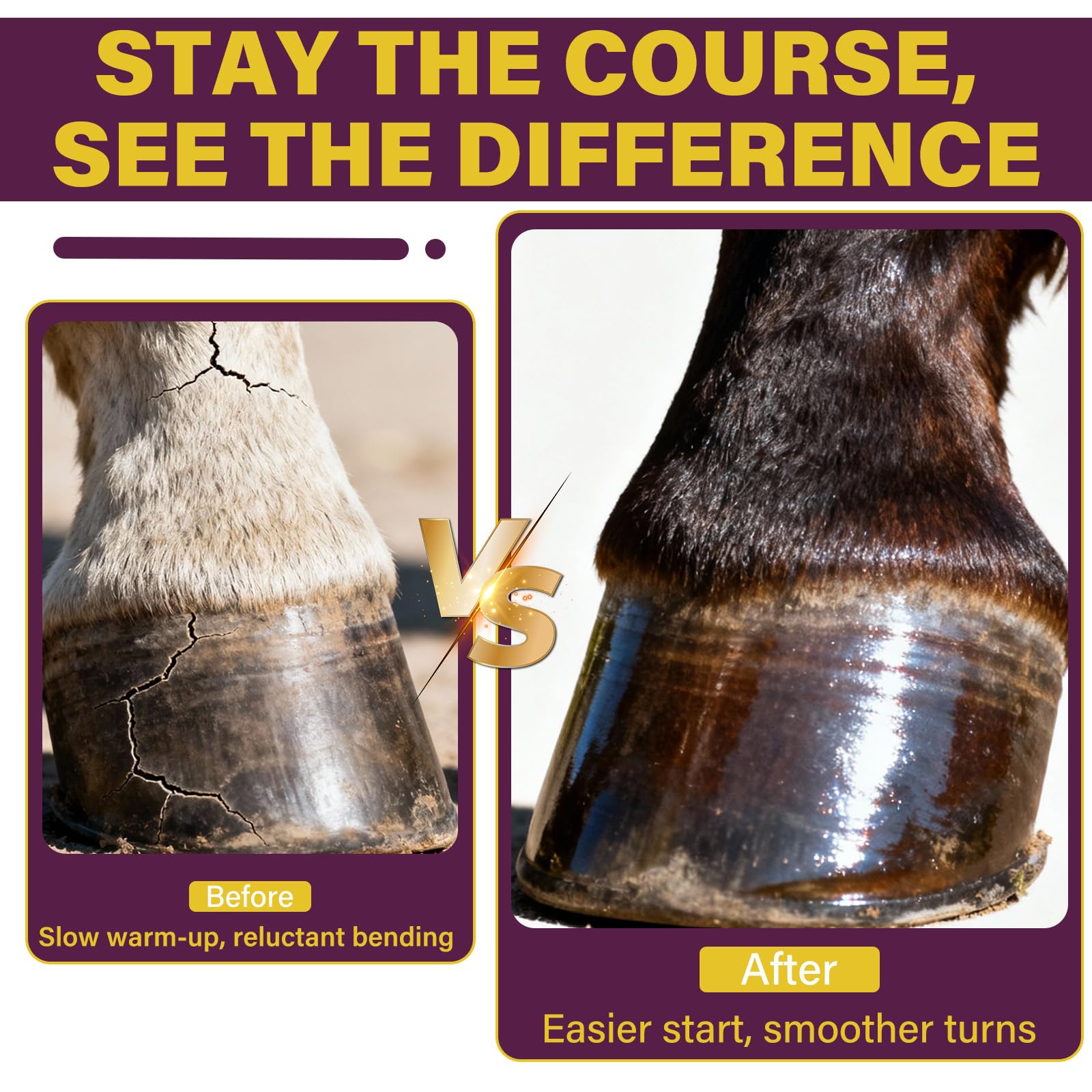 Hoof Supplements for Horses, Horse Supplies, Strengthener with MSM, Horse Health - Supports Strong Hooves and Optimal Growth,Keep Hoof Healthy-150 Chews — Amazon image 5