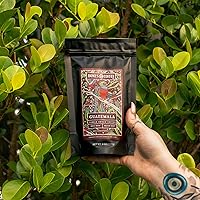 Vista 6 de Bones Coffee Company NUEVO Paquete de muestra World Tour, café saborizado de origen único, granos arábica de tostado medio, regalos de café