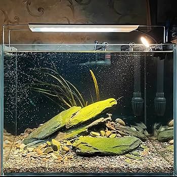 Aquarium Stone Fish Tank Terrarium Rock Cave WHITE SLATE 3kg Set | UK