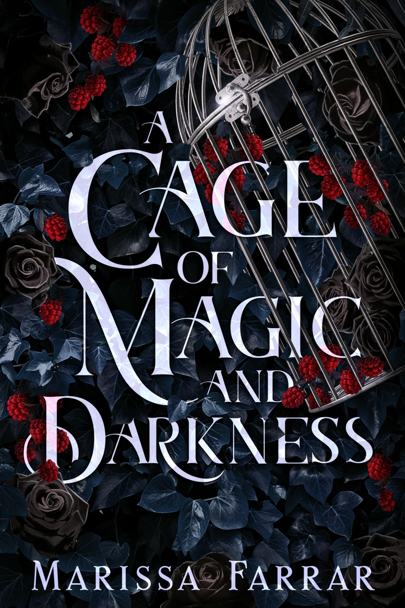 Cover of A Cage of Magic and Darkness