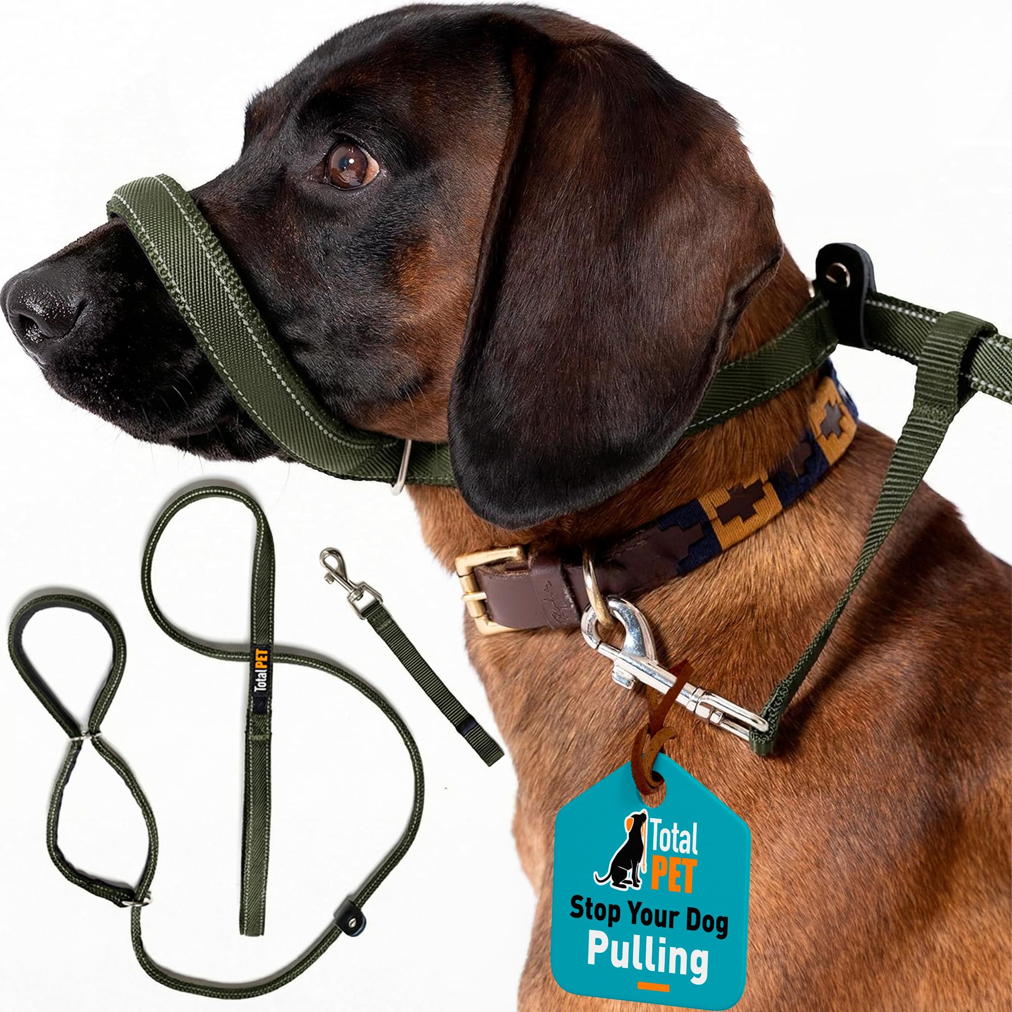 Total Pet Figure of 8 Dog Lead - Flat Anti Pull Stop Dogs Pulling – Slip Leads Reflective with Padded Nose Support (180cm) (Green, 180cm)
