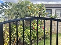 Review Image by T. S. C. Wong