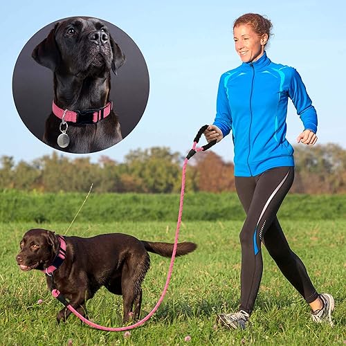 Miniatura 5 de Ladoogo collar reflectante para perro con acolchado de neopreno suave, collares de nylon transpirables y ajustables para perros pequeños, medianos y