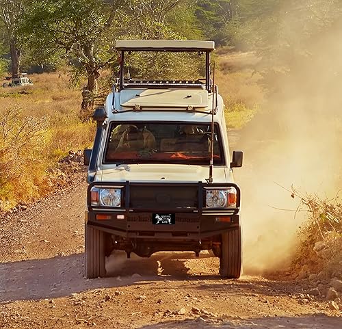 Miniatura 6 de Rocking The Retired Life - Placa de matrícula decorativa, matrícula personalizada para la parte delantera del automóvil, placa de aluminio