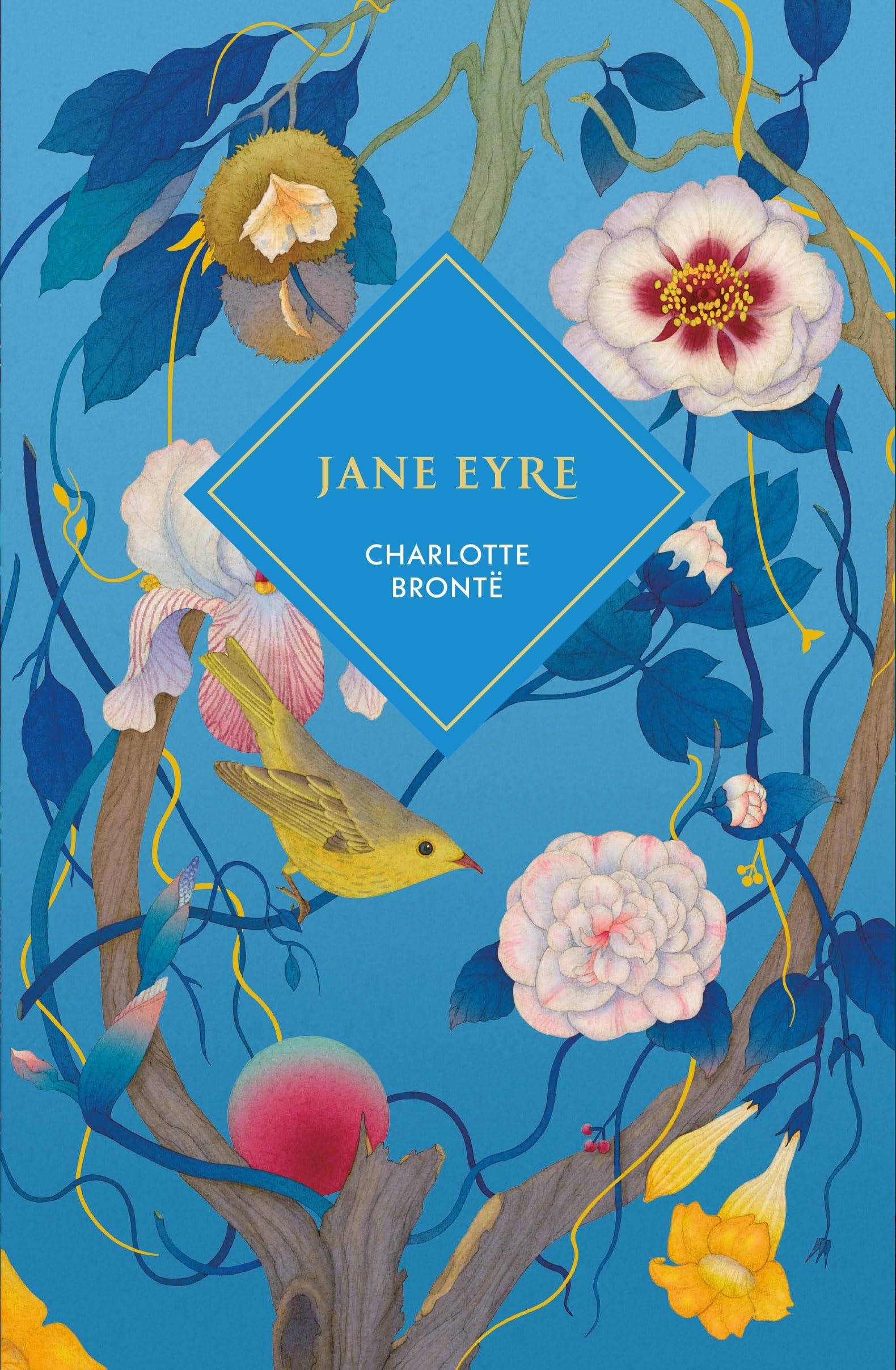 Jane Eyre by Charlotte Bronte HARDBACK 9781529954227