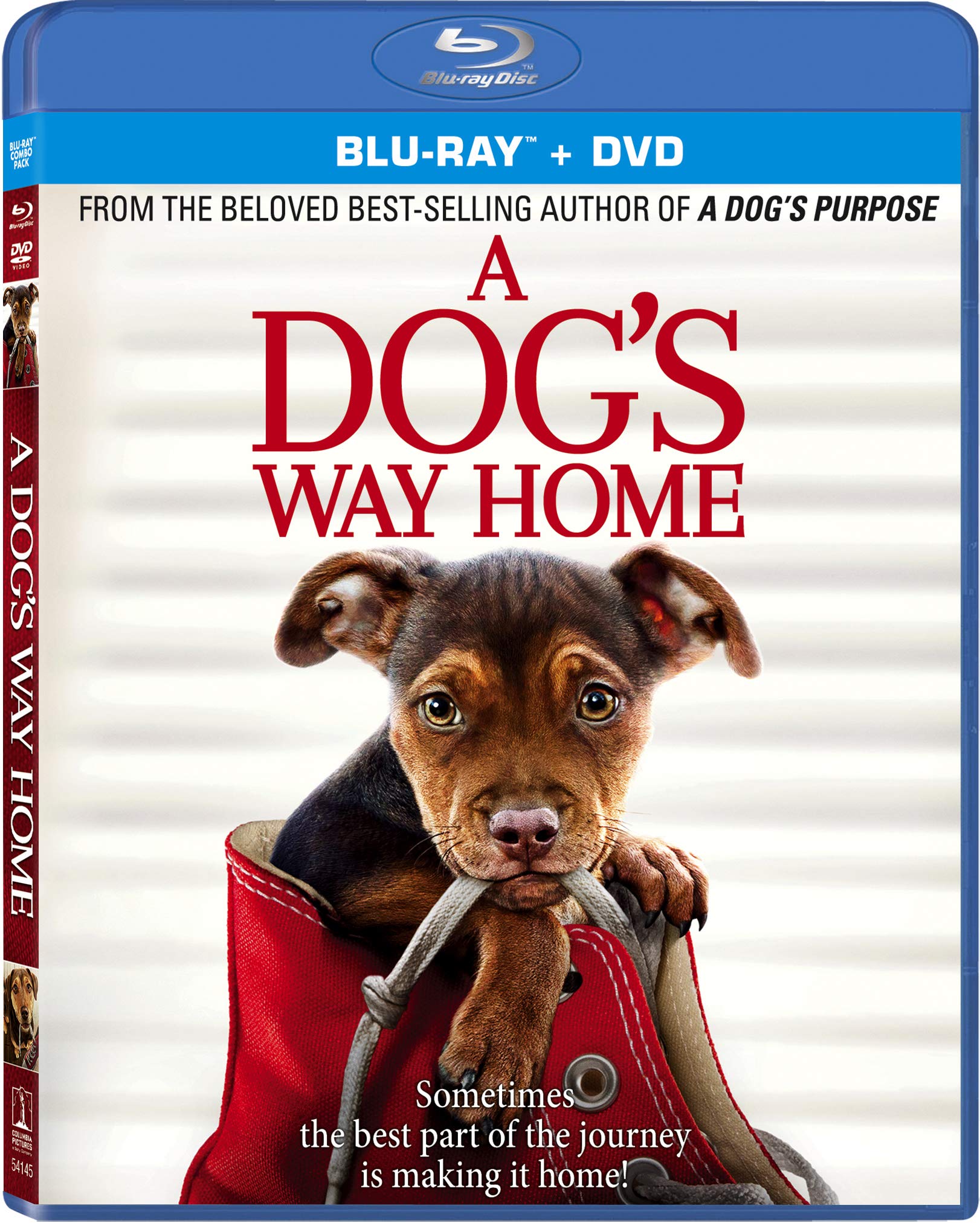 A Dog's Way Home : Bryce Dallas Howard, Ashley Judd, Barry