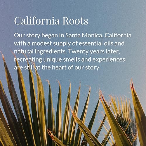 Miniatura 4 de Archipelago Botanicals Vela perfumada, Stonehenge, mezcla de cera prémium vertida a mano, tarro de vela de vidrio para el hogar con caja de regalo,