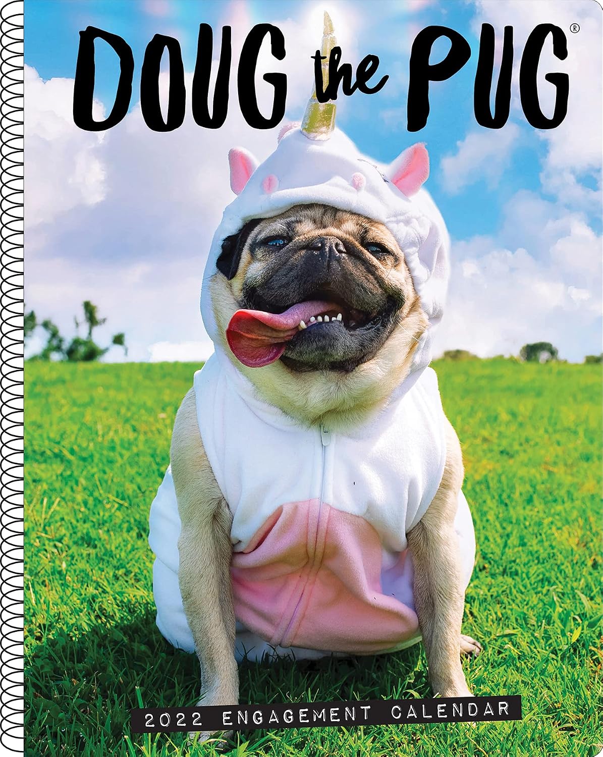 Doug the Pug 2022 Engagement Calendar: Amazon.co.uk: Willow Creek ...