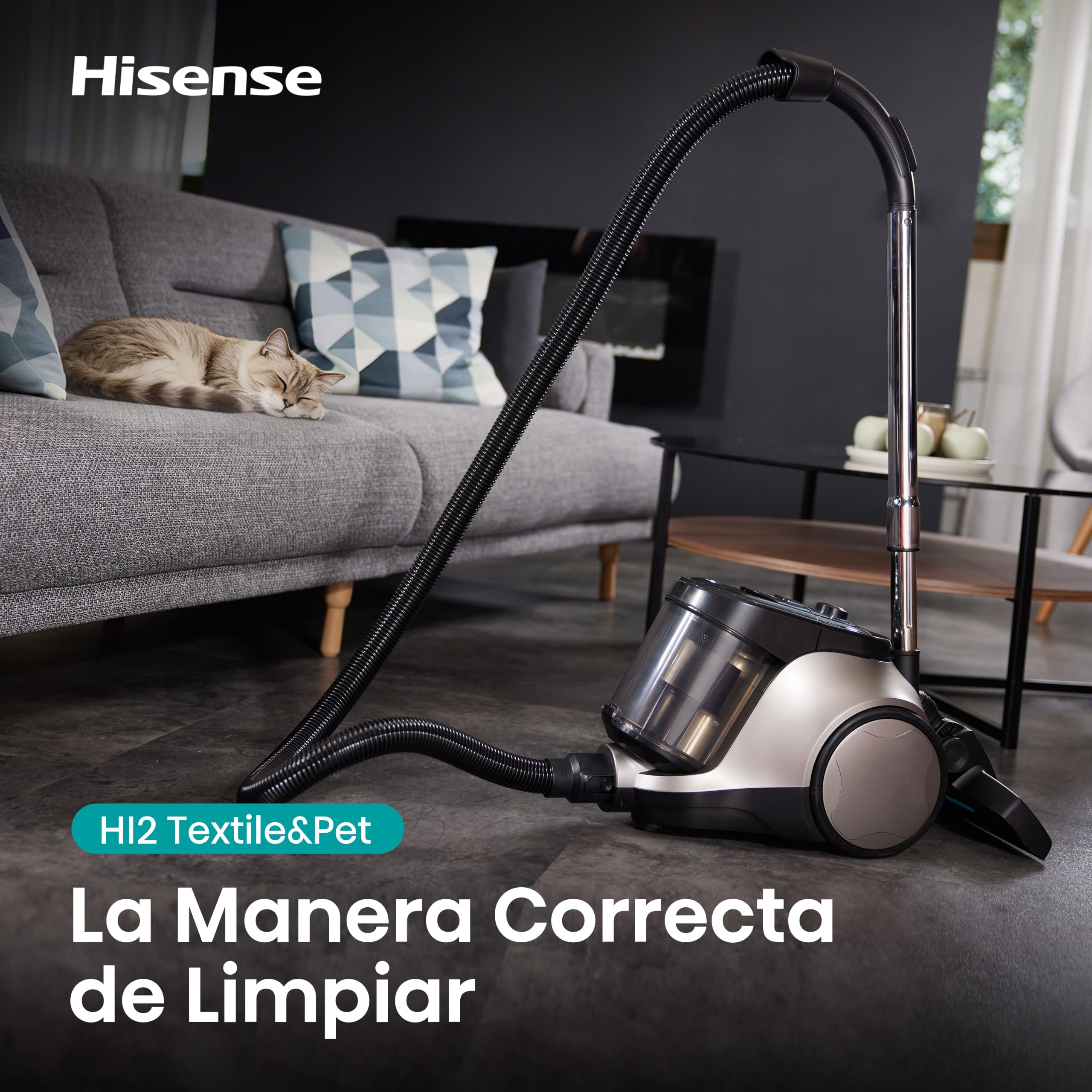 Hisense HVC20E3H2TPA Aspiradora Trineo ciclónica sin Bolsa, Cepillo HI2 Textil y Mascotas, Potente succión de 160W, Tubo telescópico metálico y Boquilla con Cepillo 2 en 1 para Suelos Duros