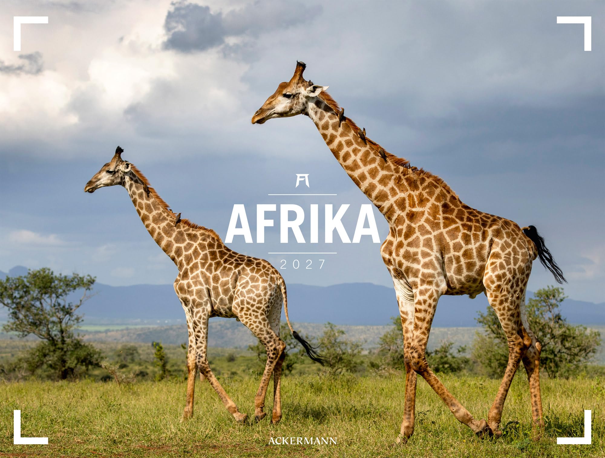 Afrika Gallery Kalender 2027: Bildgewaltiger Afrika-Kalender im großen Querformat (66x50 cm) | Tiere und Landschaft im Großformat