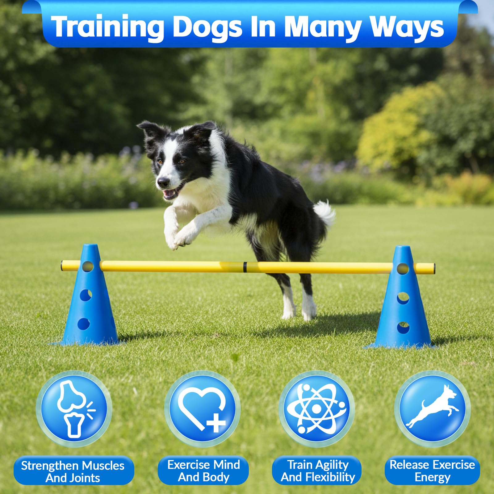 Agility Set Hunde Hürden Steckhürdenset,8 Kegel (24cm)+4 Stangen (81cm) ,Einstellbare Trainingshürden,Sports Steckhürden Set für Koordinationstraining,Hindernisparcours,Hundesport&Teamsport Fußball