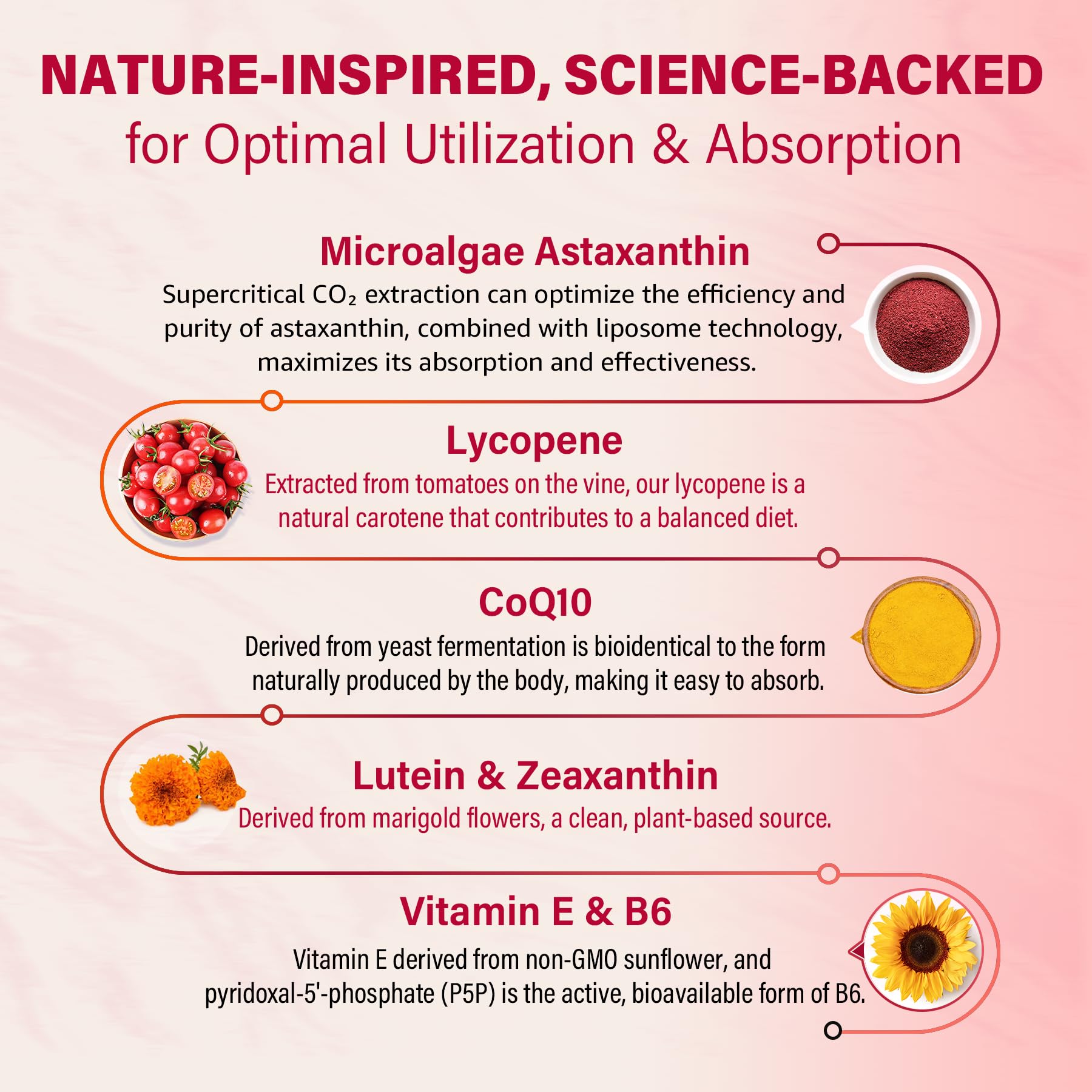 Liposomal Astaxanthin Supplements 12mg Lycopene, CoQ10, Lutein, Coconut Oil — Amazon image 5