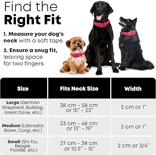 Miniatura 2 de Regal Dog Products Large Pink Reflective Dog Collar with Custom Engraved Name Plate  Waterproof Biothane Personalized Dog Collars with D Ring &