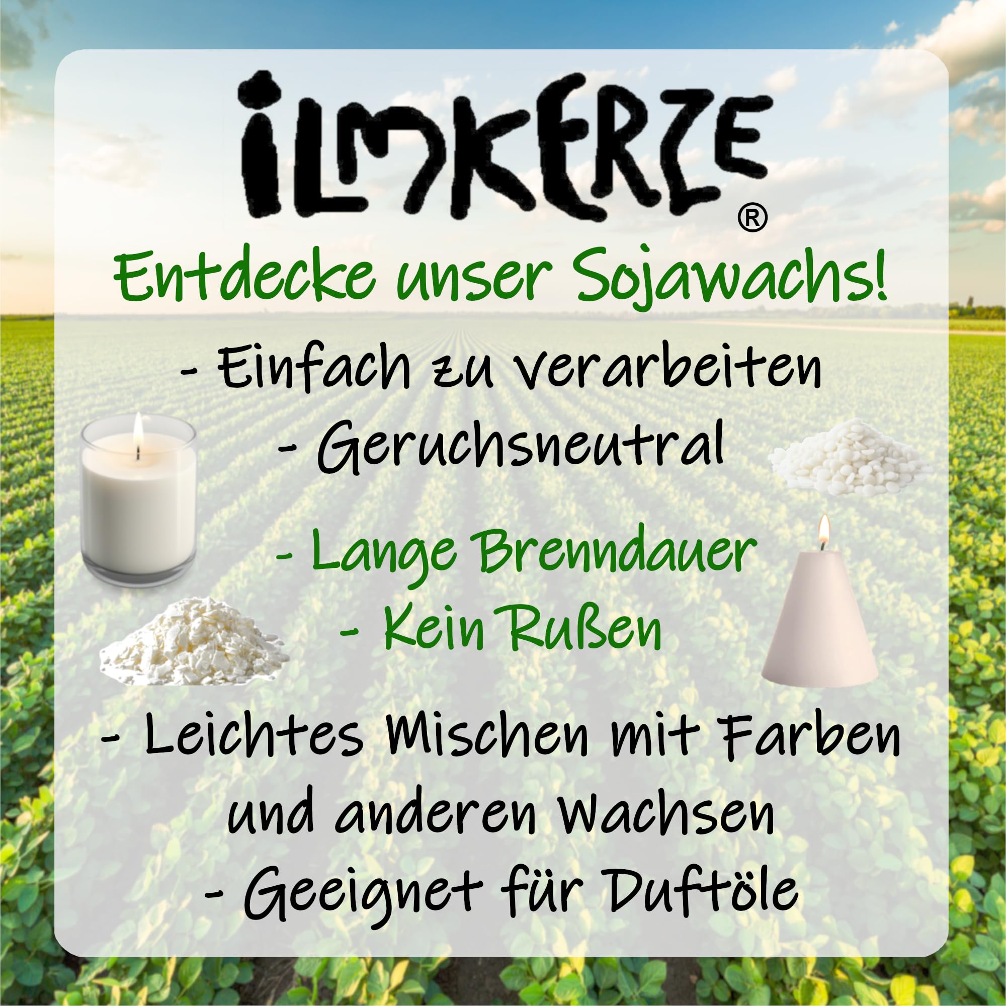 Premium Sojawachs Flocken 5 kg | natürlich | nachhaltig | palmölfrei | Kerzenwachs für DIY Kerzen in Gläsern Dosen Schalen Behältern - Größen bis 20 kg