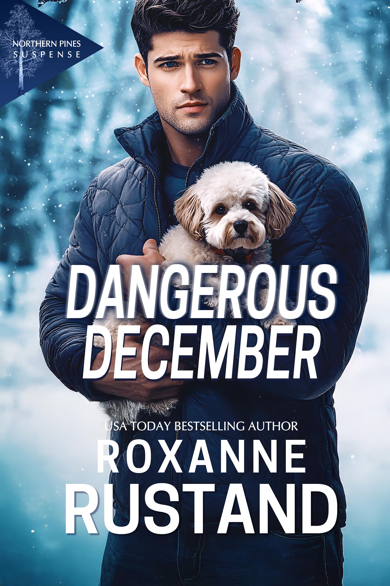 DANGEROUS DECEMBER: A clean, small-town romantic suspense (Northern Pines Suspense Book 8)