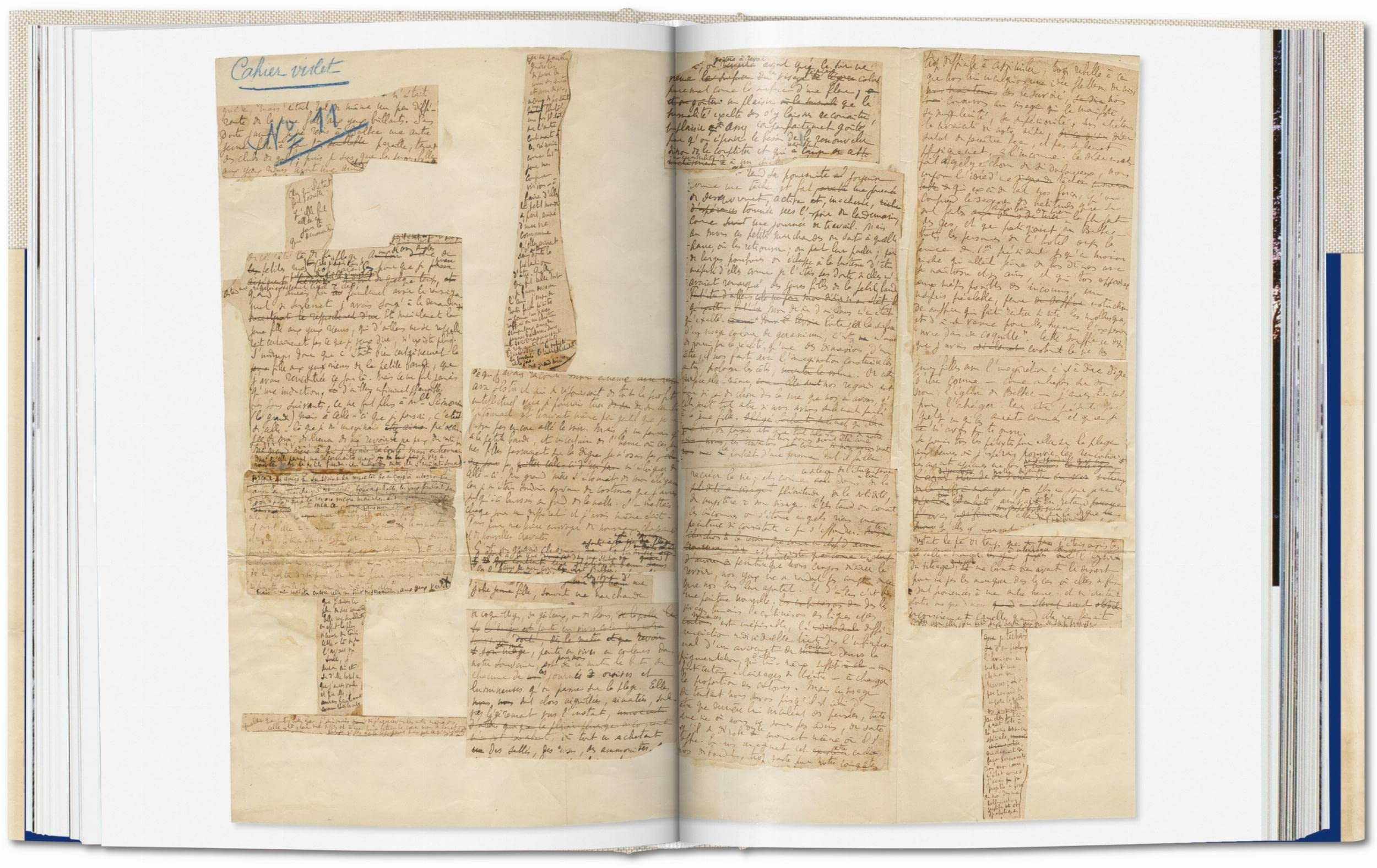 La Magie Du Manuscrit: Collection Pedro Corrêa Do Lago