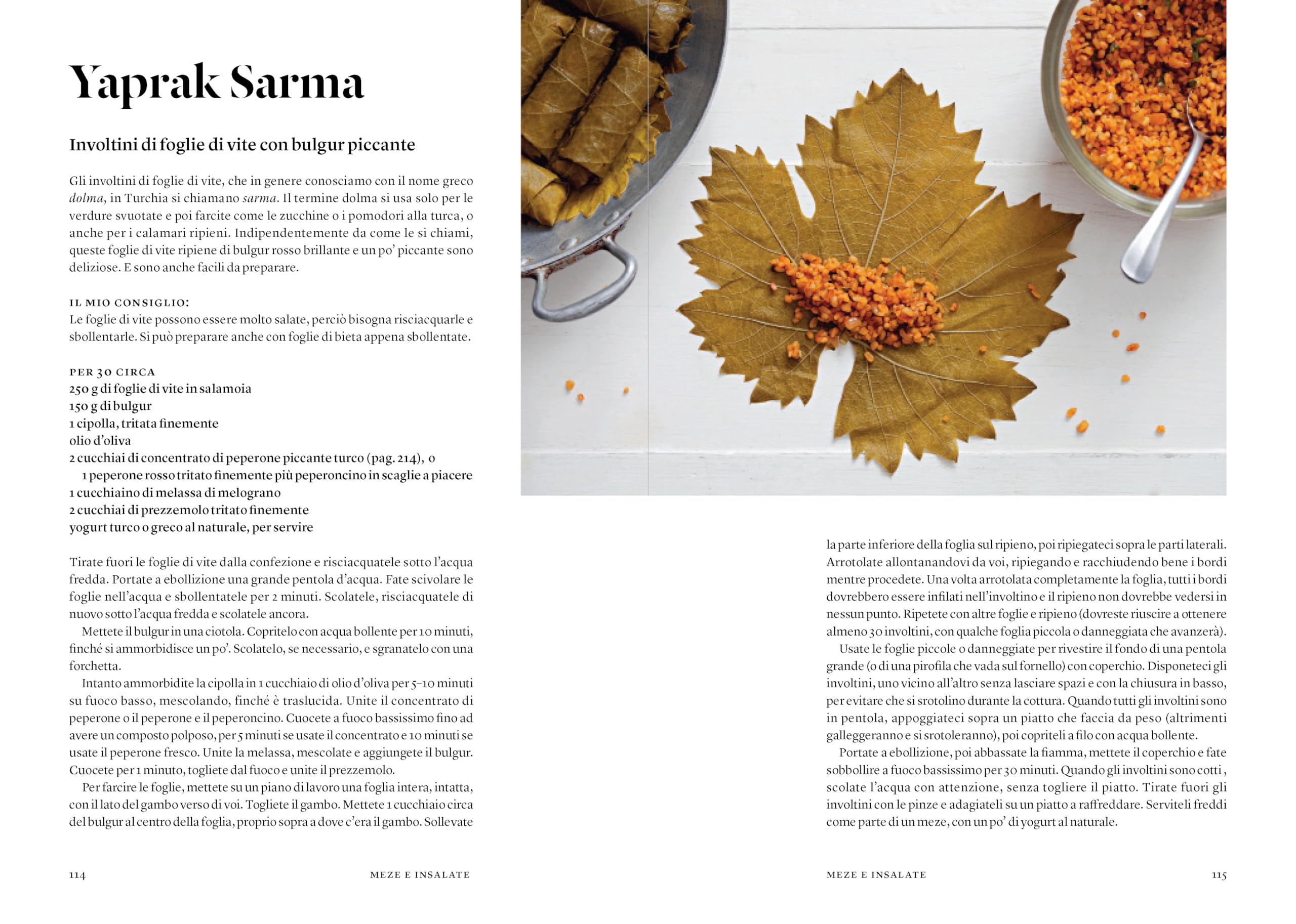 Istanbul. Ricette dal cuore della Turchia. Ediz. illustrata