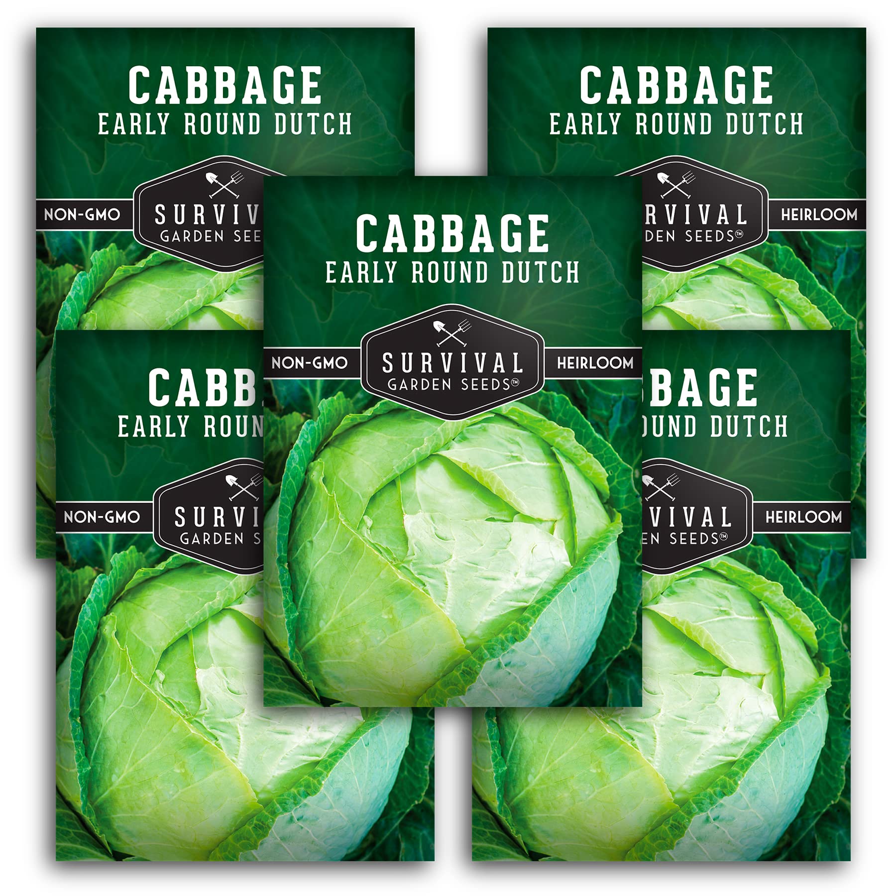 SURVIVAL GARDEN SEEDSEarly Round Dutch Cabbage Seed for Planting - 5 Packs with Instructions to Plant and Grow Green Cabbages in Your Home Vegetable Garden - Non-GMO Heirloom Variety - Plant Seed