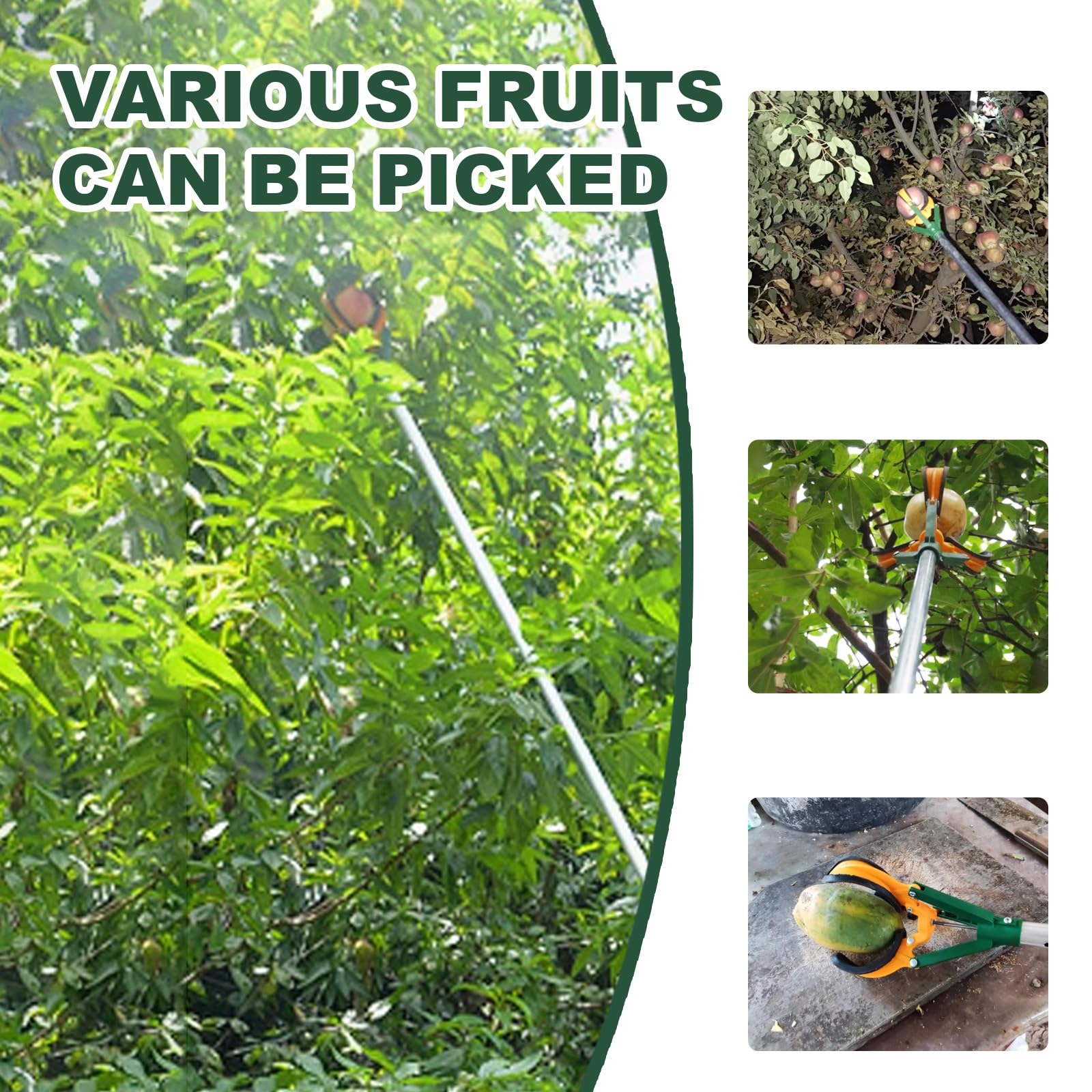Apfelsammler, Apfelernter mit Teleskopstiel 39"-59", Apfelpflücker mit Anti-Rutsch-Bezug, Obstfänger for Birnen, Orangen, Aprikosen, Limetten, Nektarinen