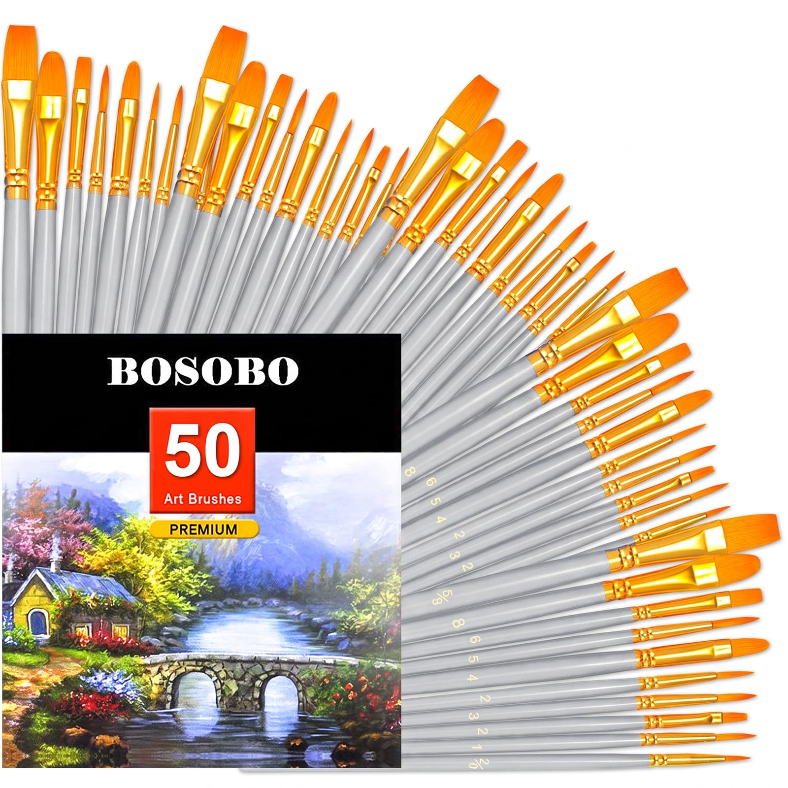 BOSOBO Assorted Nylon Acrylic Artist Paint Brushes Set,Silver,50 Pcs