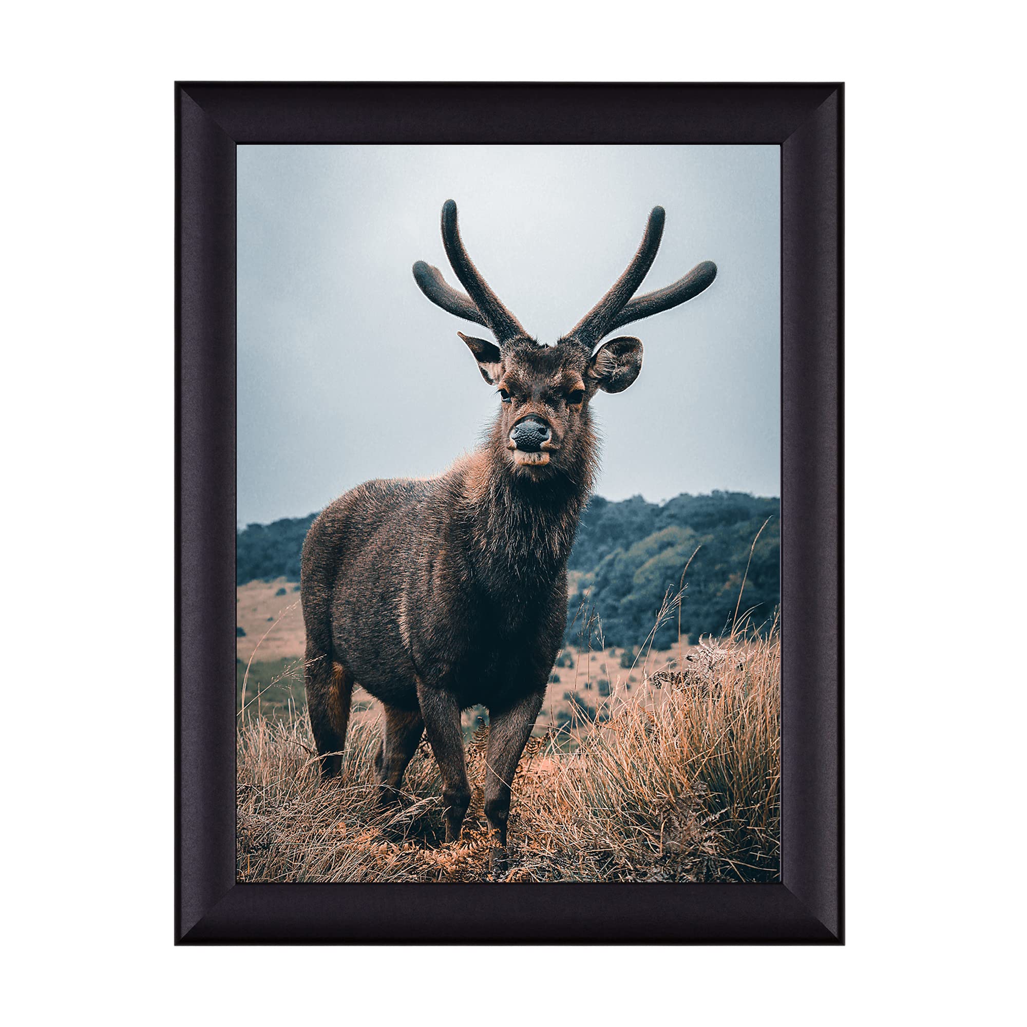 Cadre pour affiche Fiona 50x70 Noir (mat) Cadre photo, cadre amovible, cadre photo
